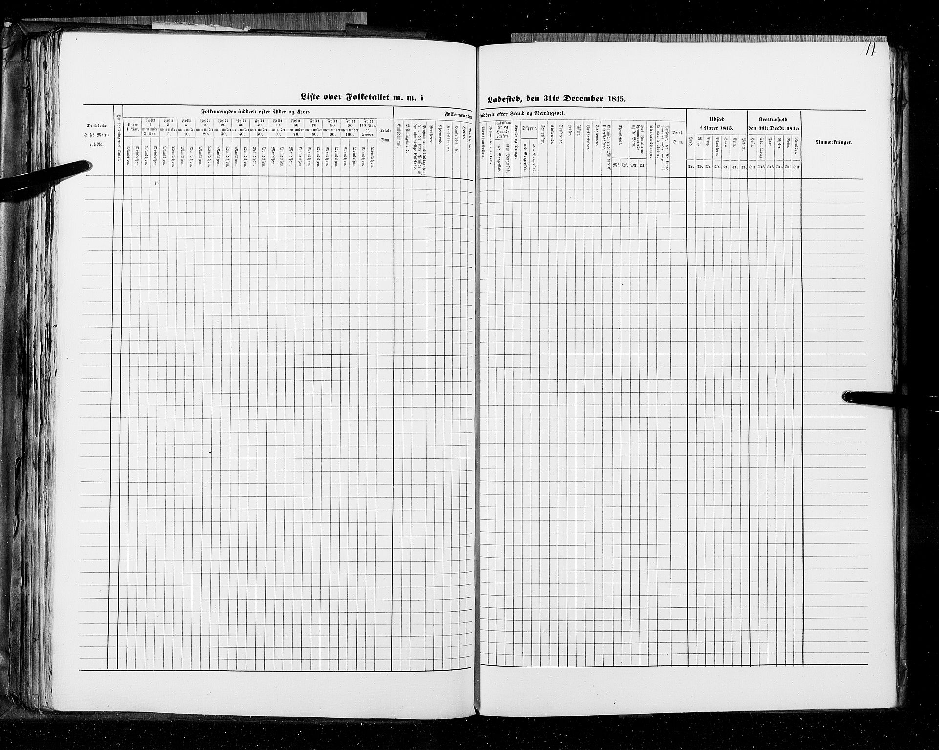 RA, Census 1845, vol. 11: Cities, 1845, p. 111