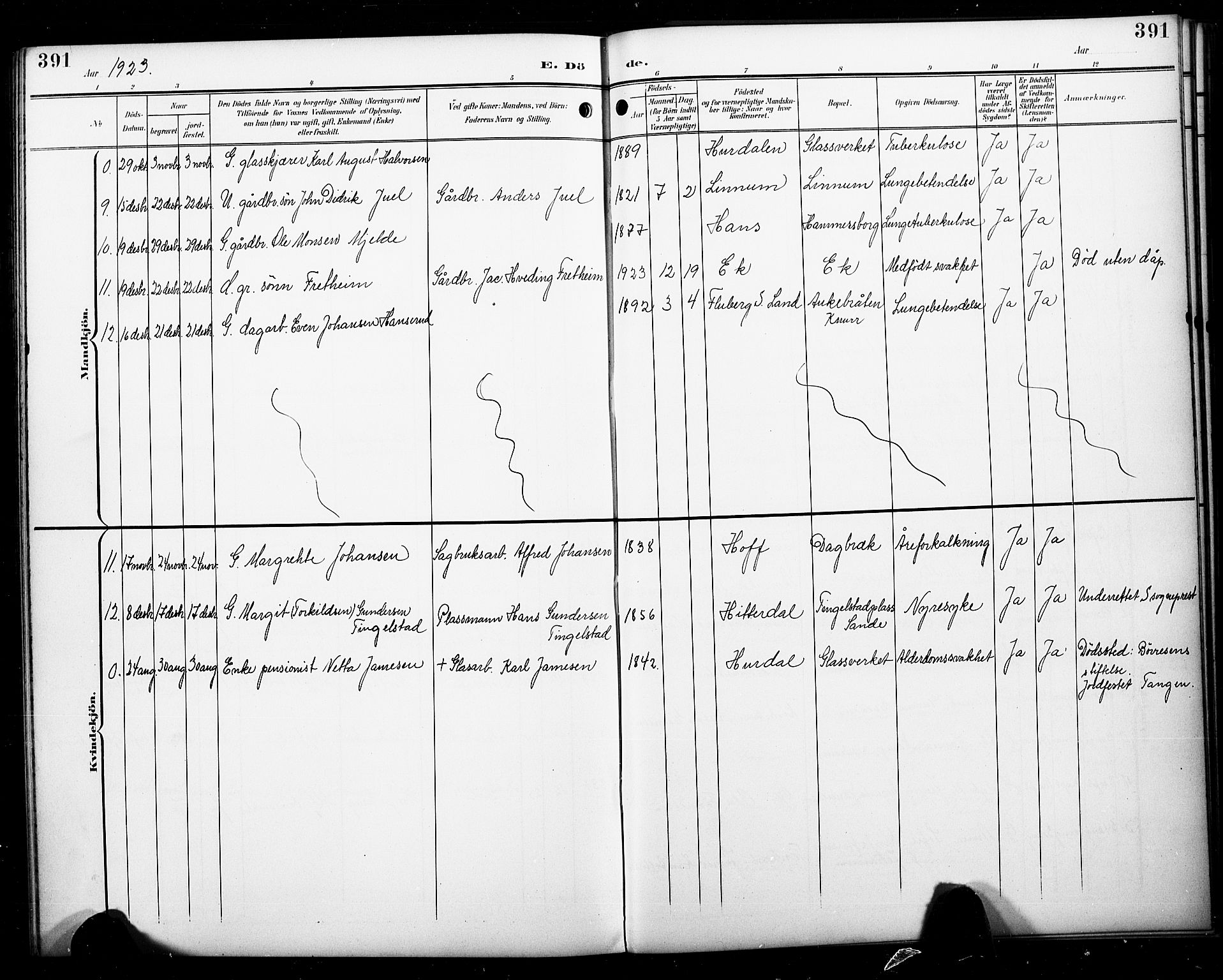 Skoger kirkebøker, AV/SAKO-A-59/G/Ga/L0003: Parish register (copy) no. I 3, 1900-1927, p. 391