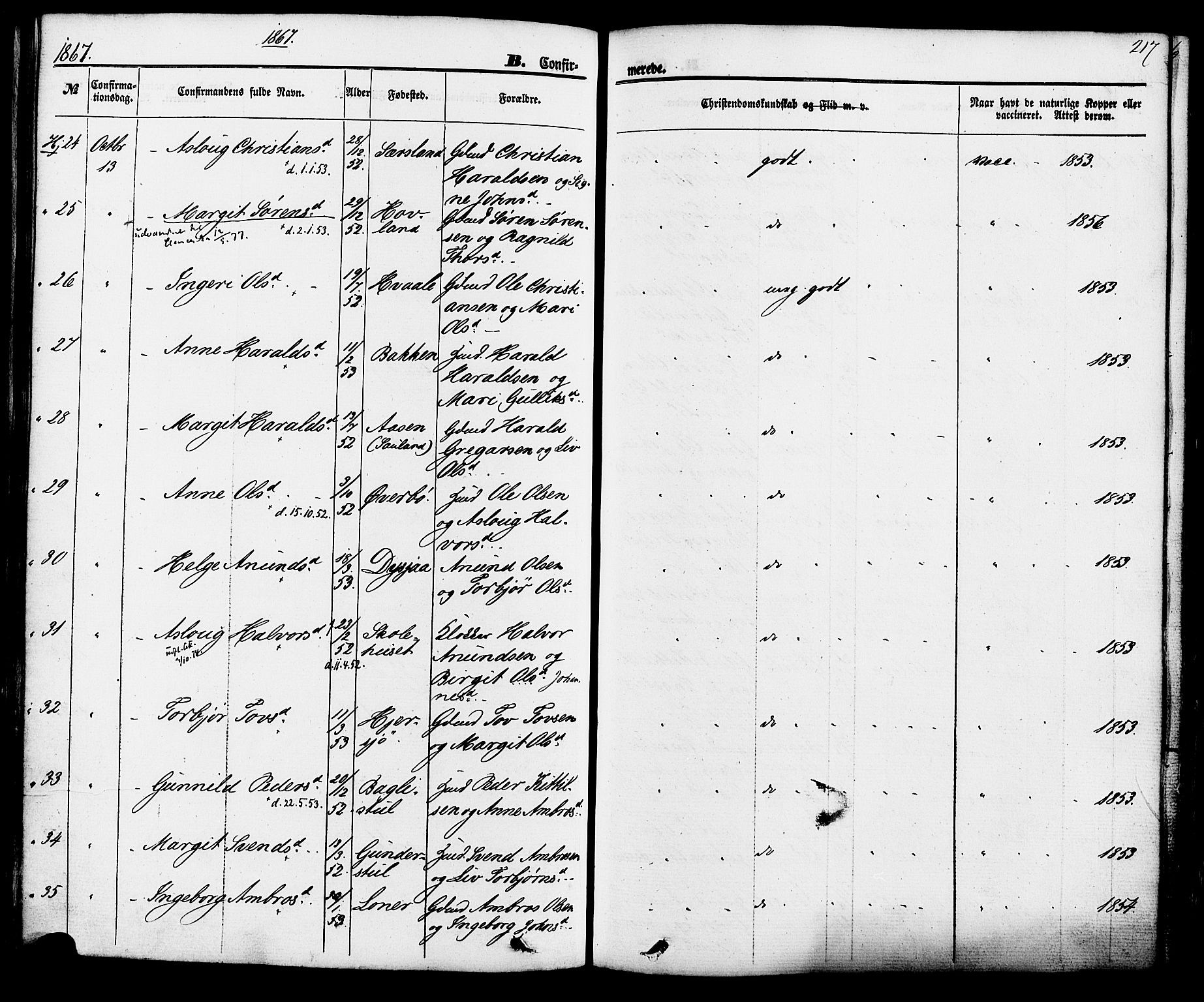 Hjartdal kirkebøker, AV/SAKO-A-270/F/Fa/L0009: Parish register (official) no. I 9, 1860-1879, p. 217