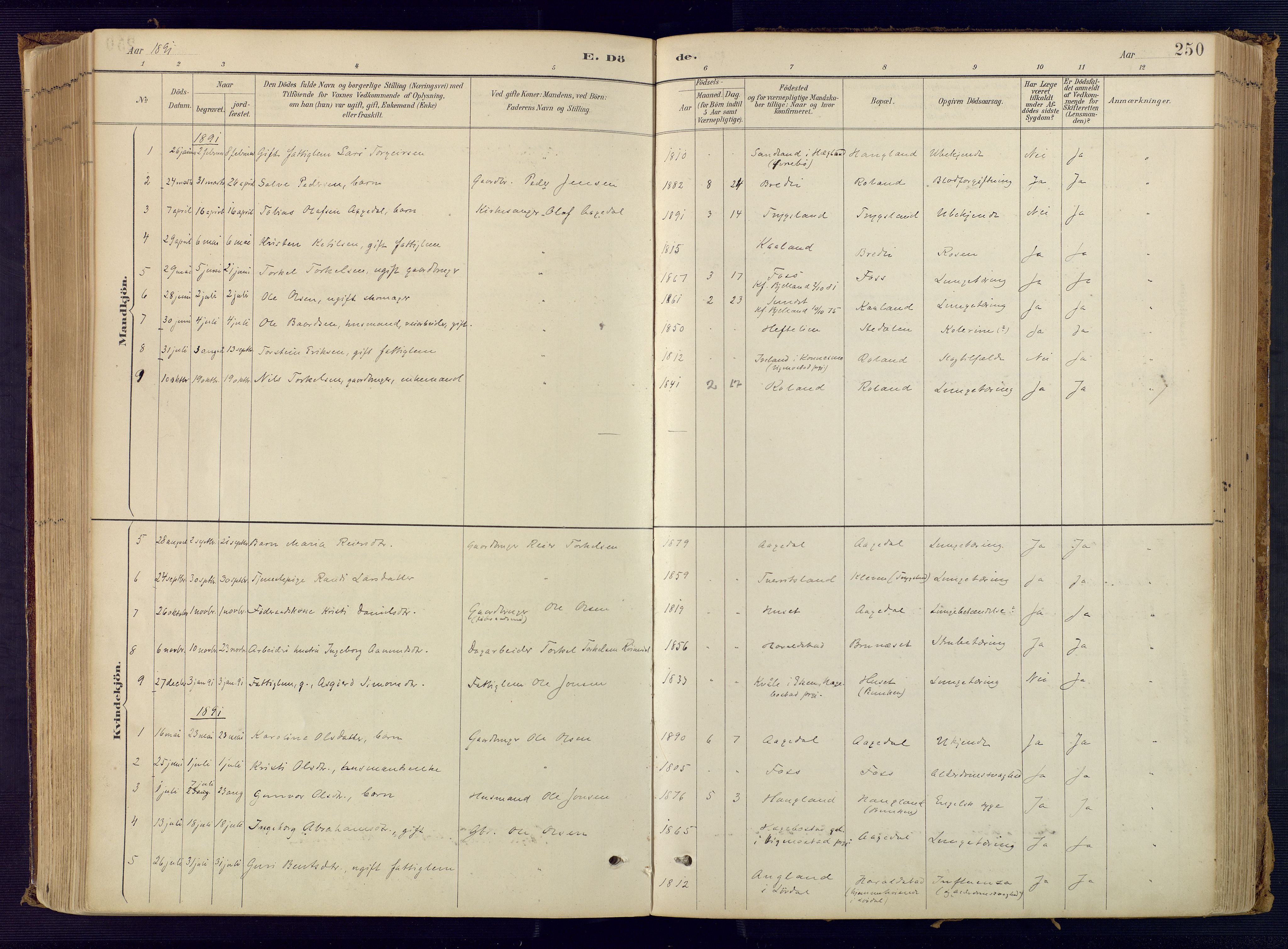 Bjelland sokneprestkontor, SAK/1111-0005/F/Fa/Faa/L0004: Parish register (official) no. A 4, 1887-1923, p. 250