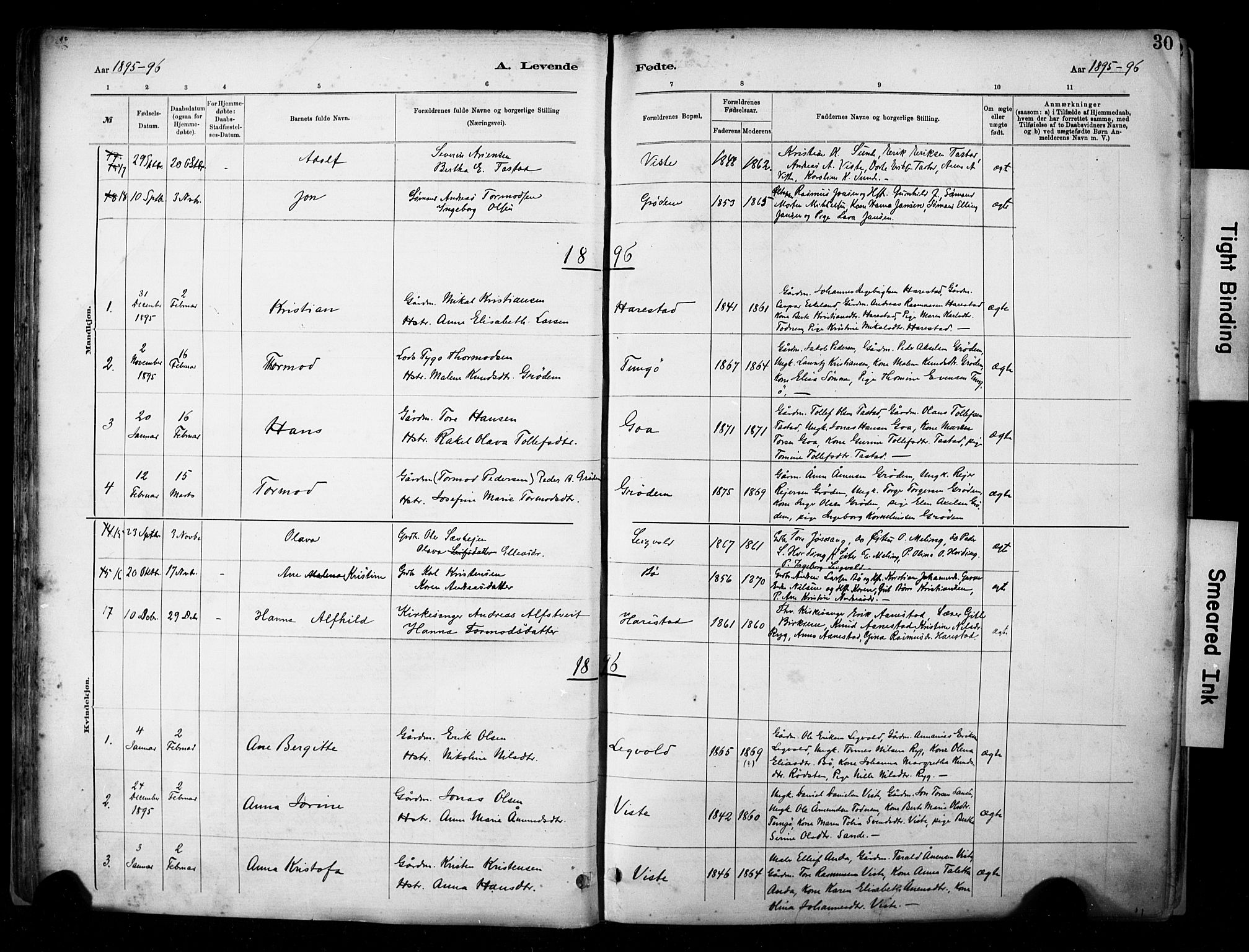 Hetland sokneprestkontor, SAST/A-101826/30/30BA/L0009: Parish register (official) no. A 9, 1882-1918, p. 30