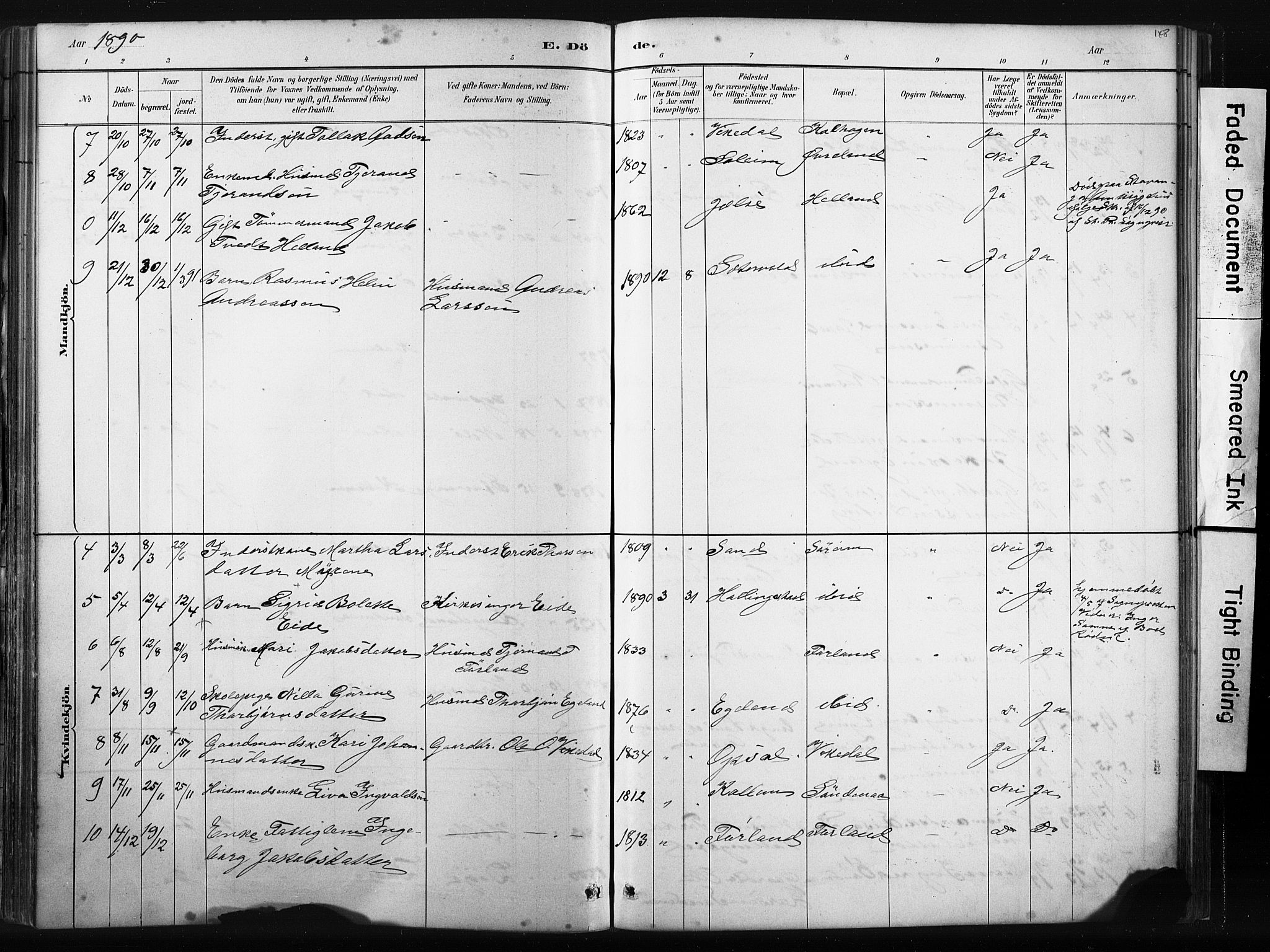 Vikedal sokneprestkontor, AV/SAST-A-101840/01/IV: Parish register (official) no. A 10, 1884-1907, p. 148