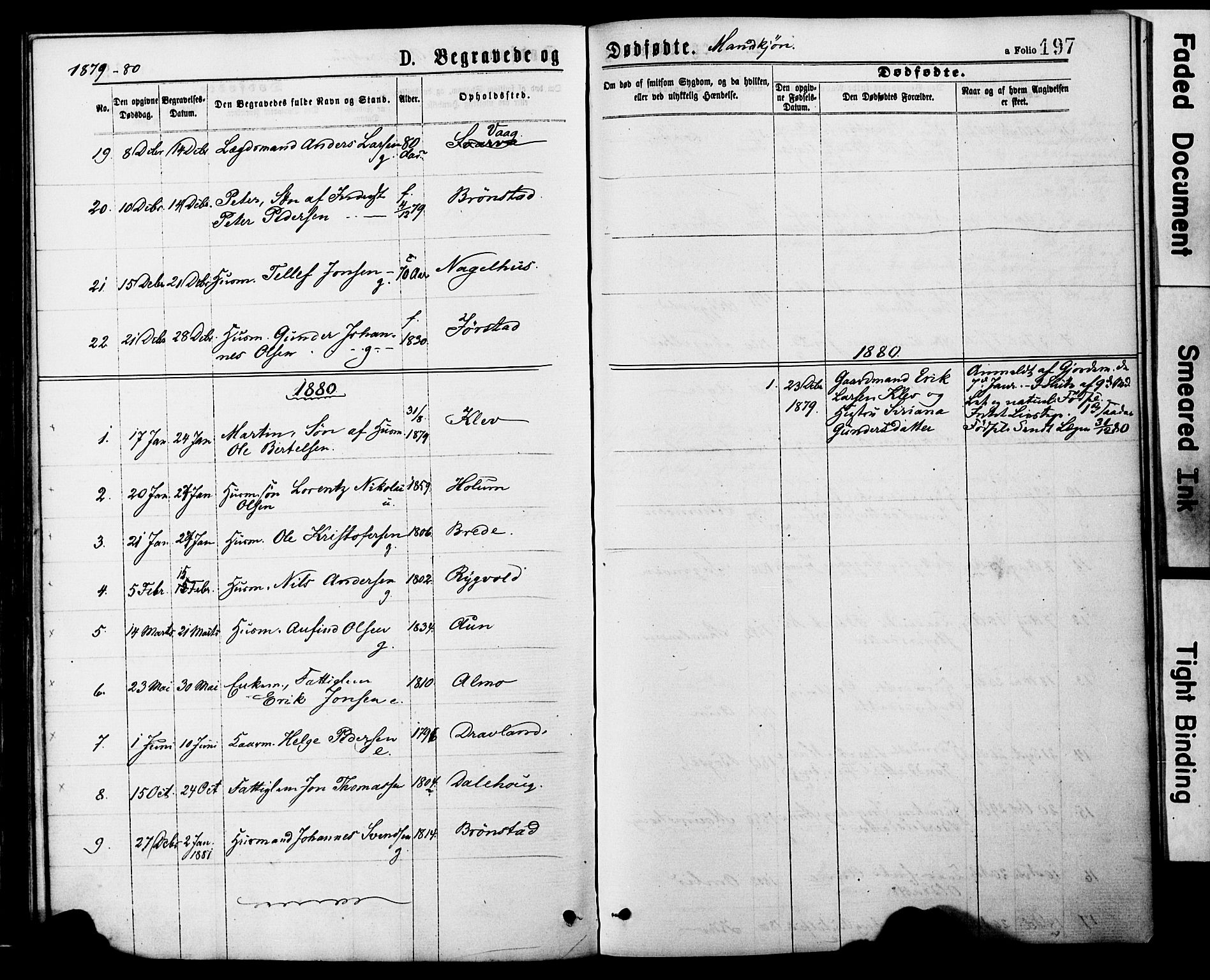 Ministerialprotokoller, klokkerbøker og fødselsregistre - Nord-Trøndelag, SAT/A-1458/749/L0473: Parish register (official) no. 749A07, 1873-1887, p. 197