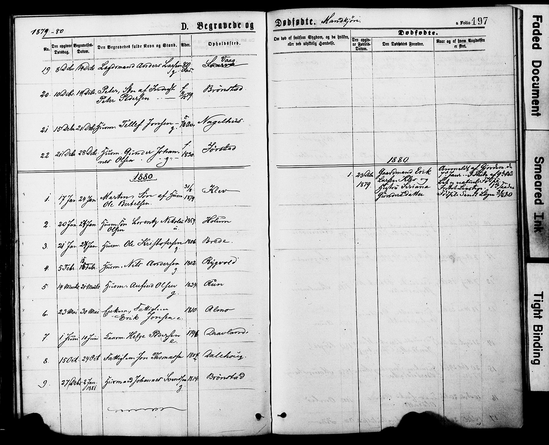 Ministerialprotokoller, klokkerbøker og fødselsregistre - Nord-Trøndelag, AV/SAT-A-1458/749/L0473: Parish register (official) no. 749A07, 1873-1887, p. 197