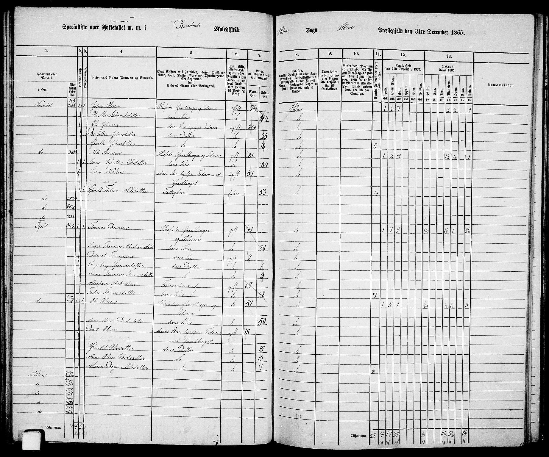 RA, 1865 census for Holum, 1865, p. 71