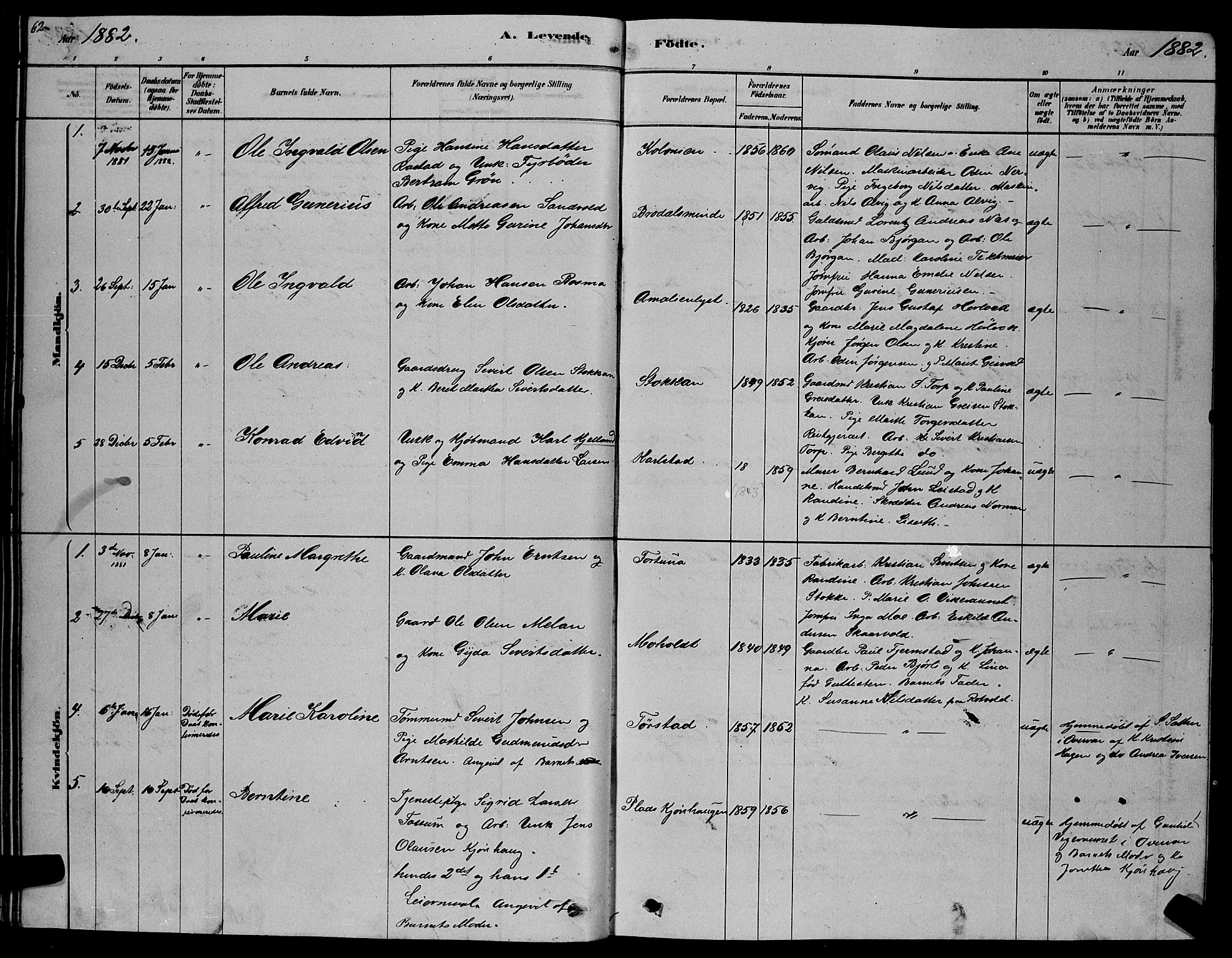 Ministerialprotokoller, klokkerbøker og fødselsregistre - Sør-Trøndelag, SAT/A-1456/606/L0312: Parish register (copy) no. 606C08, 1878-1894, p. 62