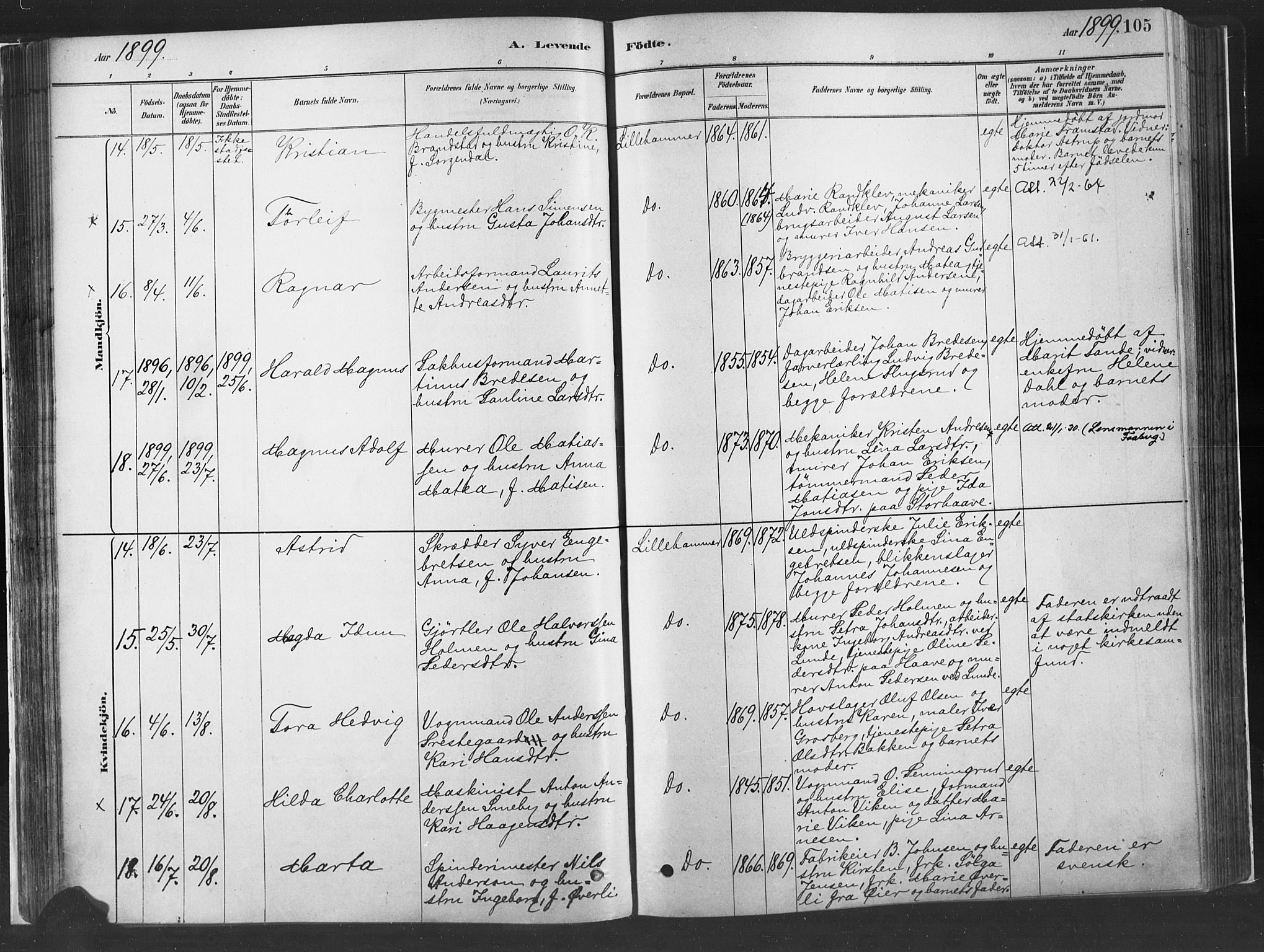 Fåberg prestekontor, AV/SAH-PREST-086/H/Ha/Haa/L0010: Parish register (official) no. 10, 1879-1900, p. 105