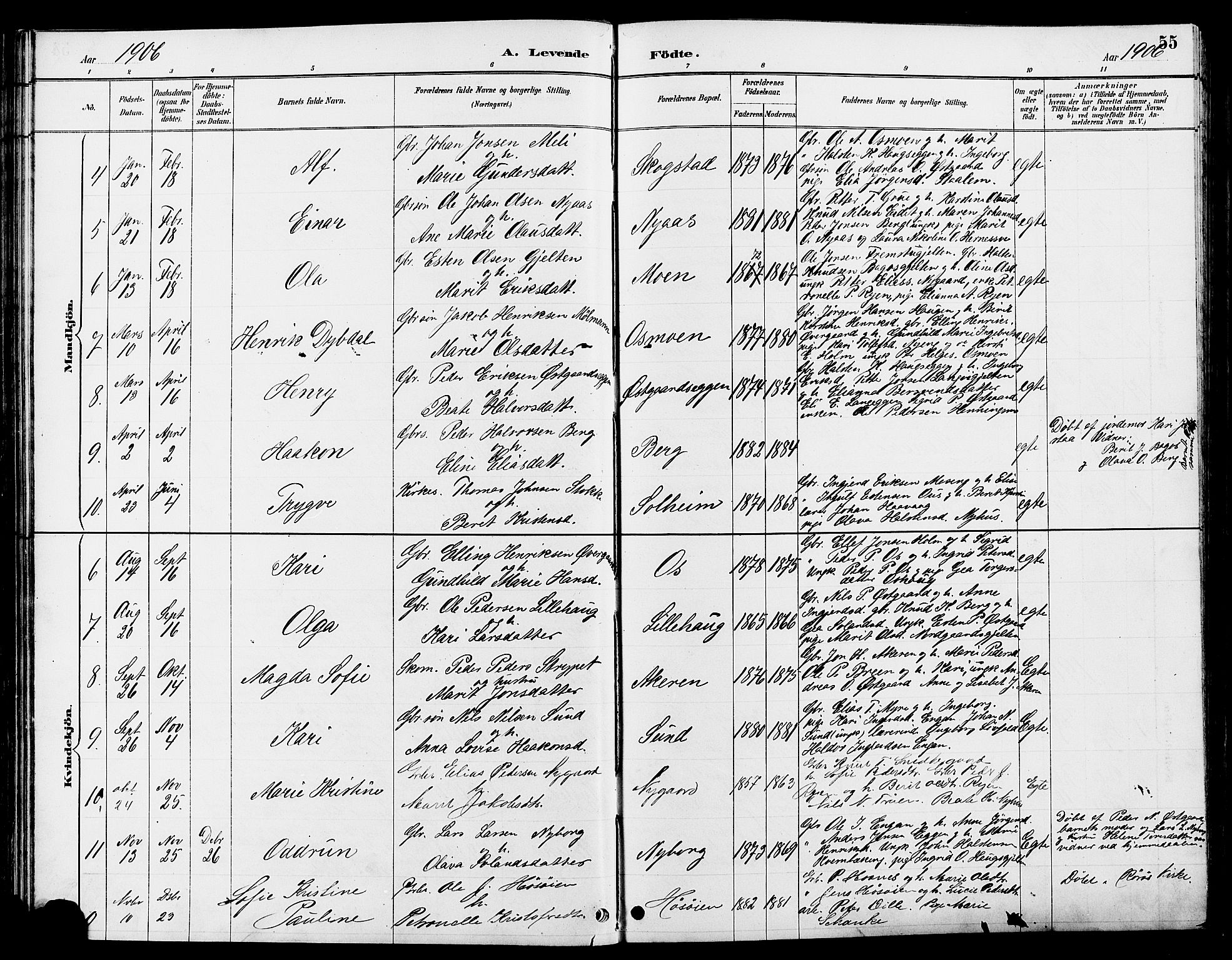 Tolga prestekontor, AV/SAH-PREST-062/L/L0008: Parish register (copy) no. 8, 1887-1912, p. 55