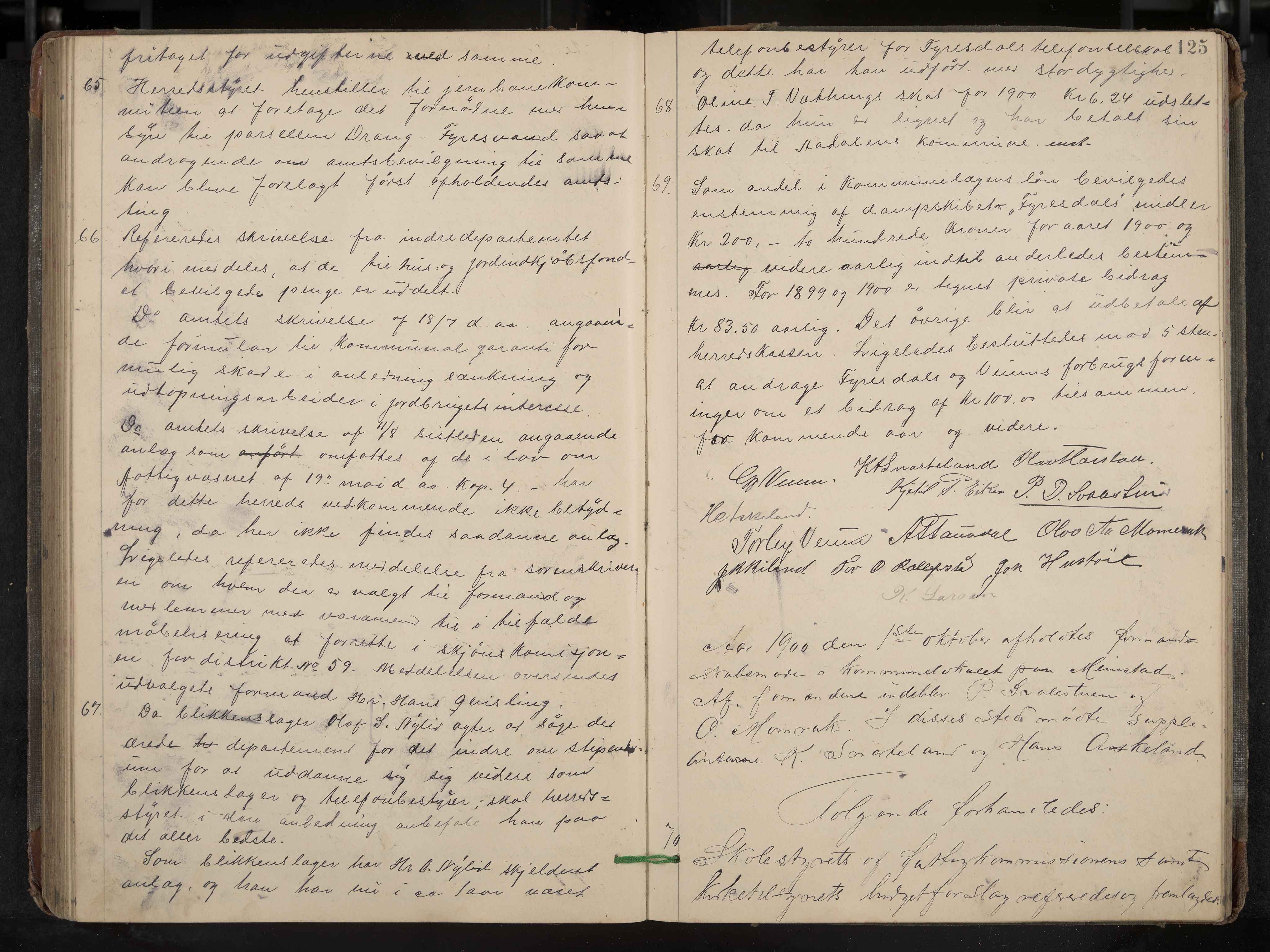 Fyresdal formannskap og sentraladministrasjon, IKAK/0831021-1/Aa/L0003: Møtebok, 1894-1903, p. 125