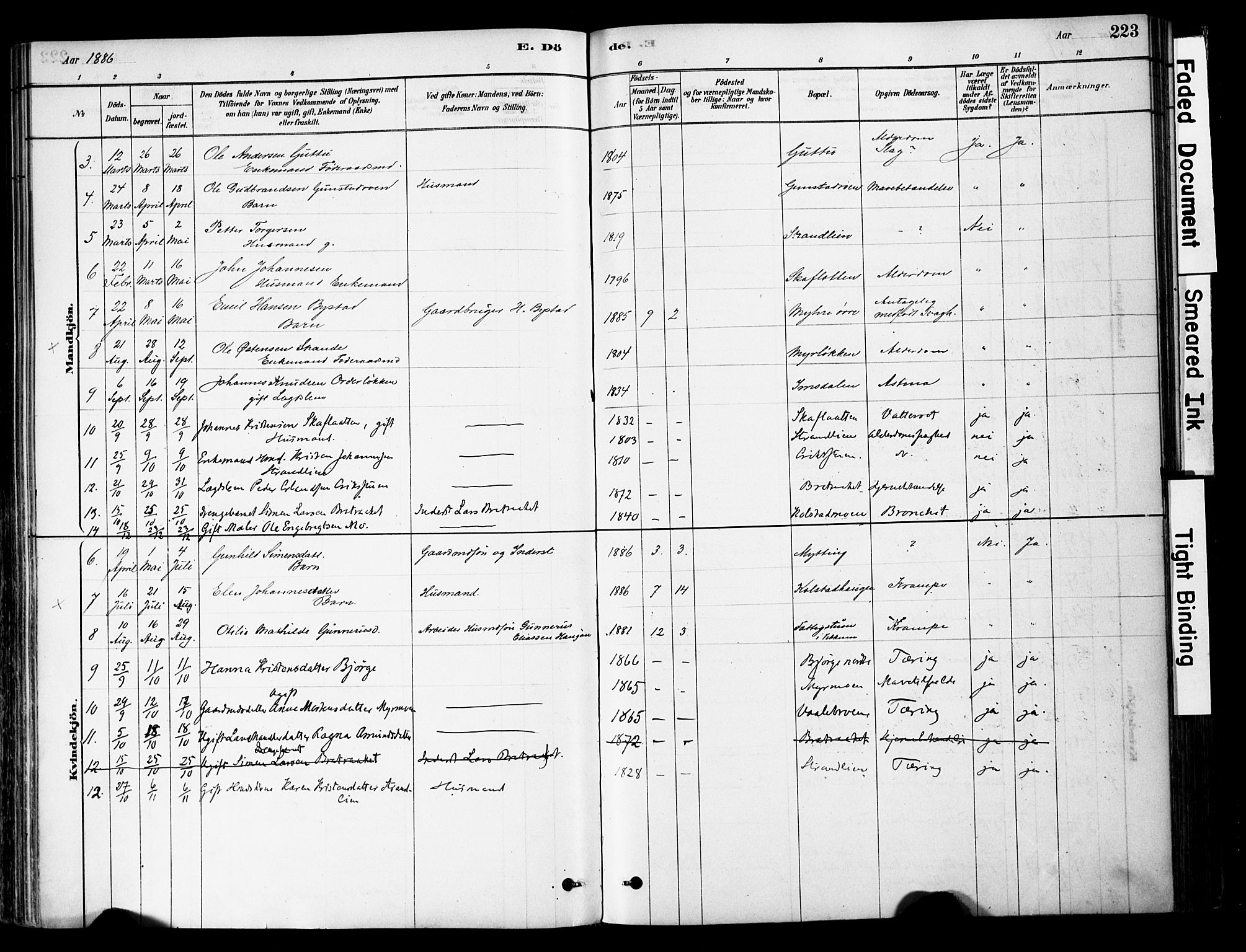Ringebu prestekontor, SAH/PREST-082/H/Ha/Haa/L0008: Parish register (official) no. 8, 1878-1898, p. 223