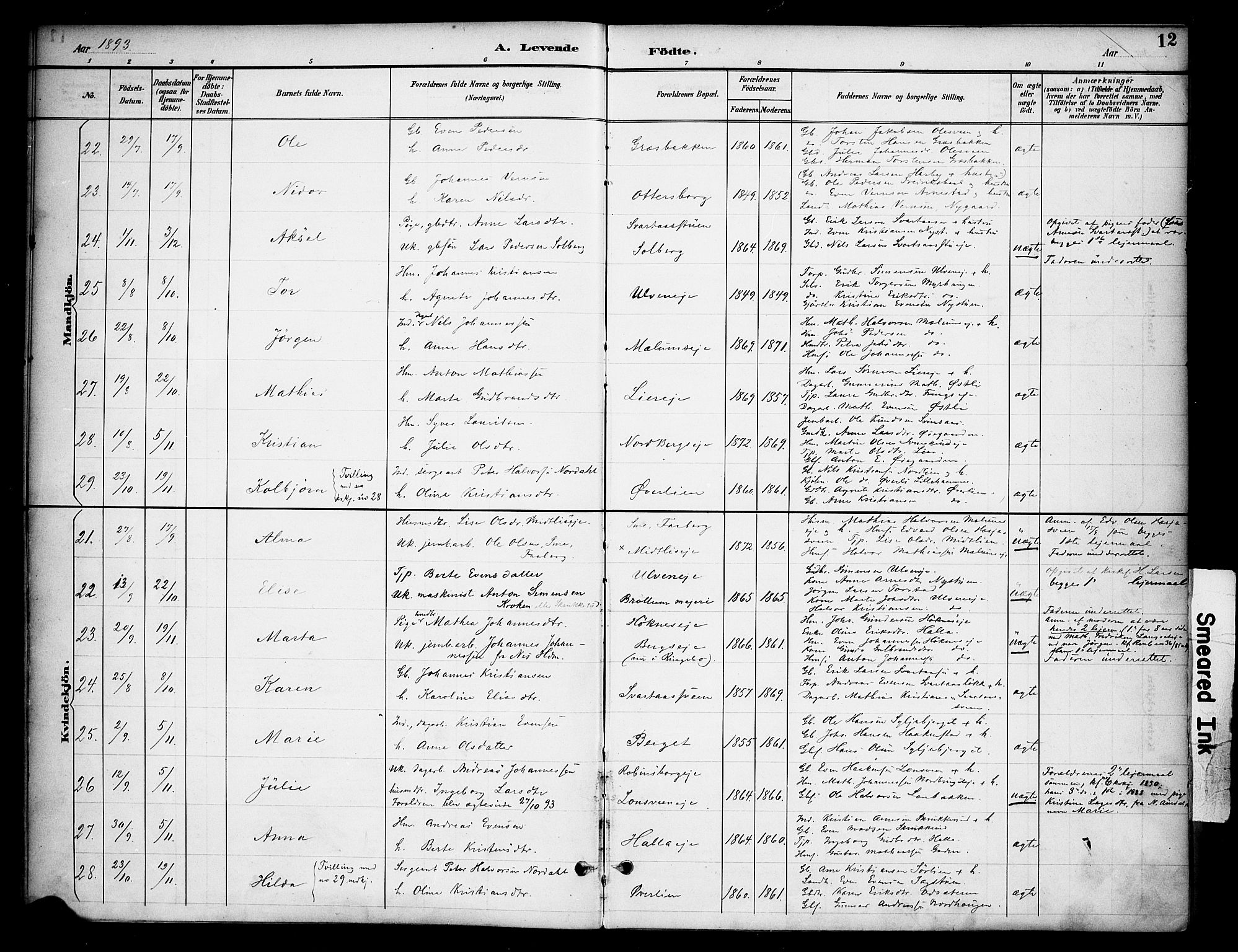 Ringsaker prestekontor, AV/SAH-PREST-014/K/Ka/L0015: Parish register (official) no. 15, 1891-1904, p. 12