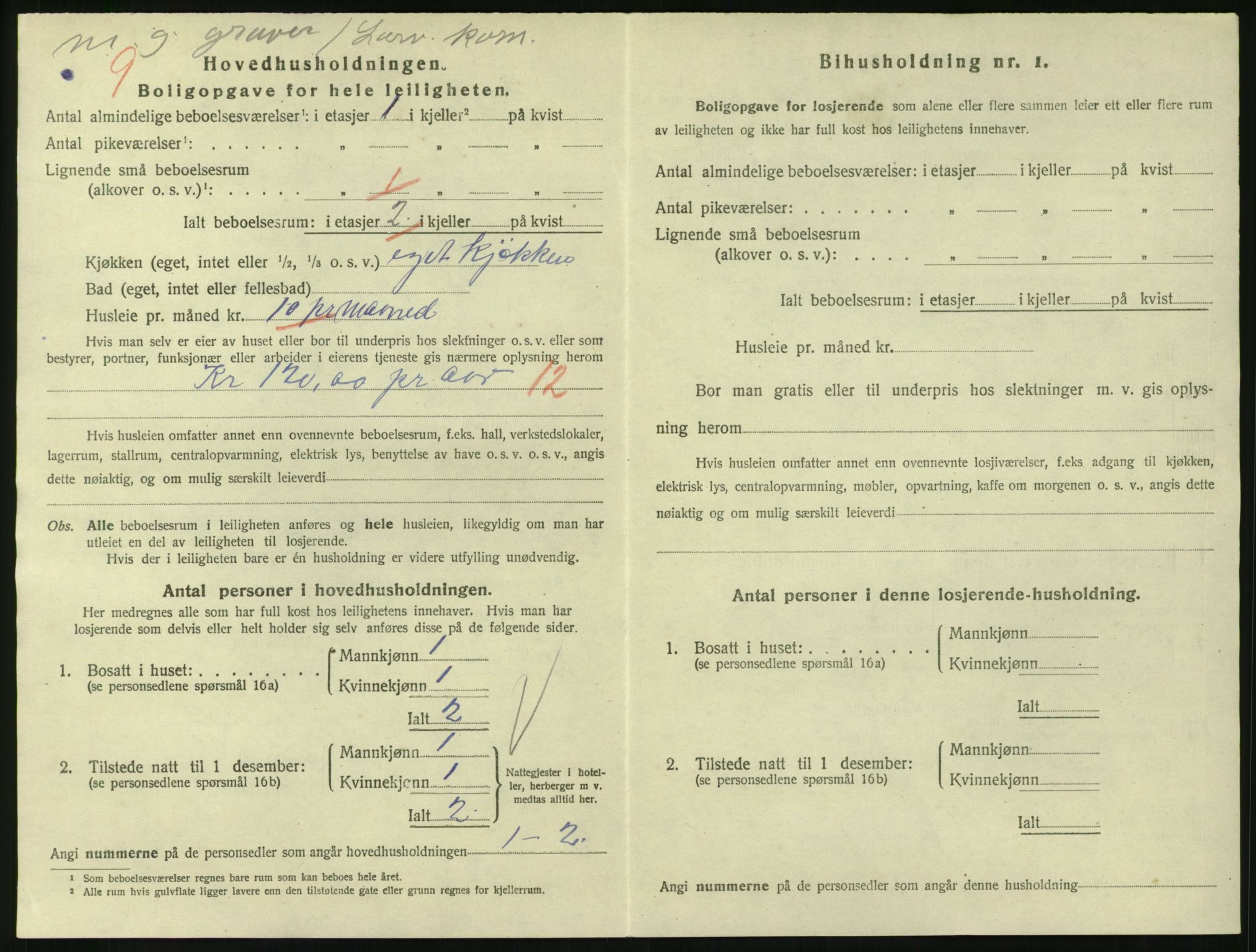 SAKO, 1920 census for Larvik, 1920, p. 3847