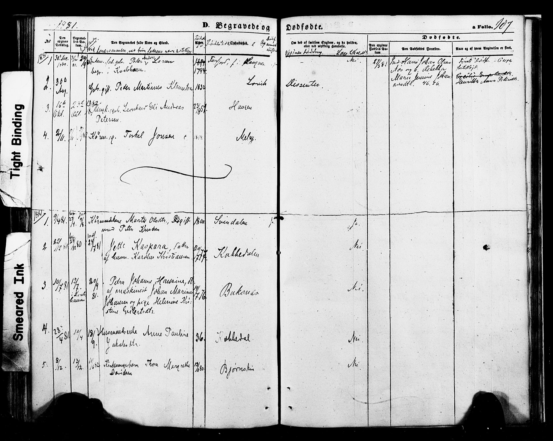 Ministerialprotokoller, klokkerbøker og fødselsregistre - Nordland, AV/SAT-A-1459/898/L1421: Parish register (official) no. 898A01, 1866-1886, p. 187