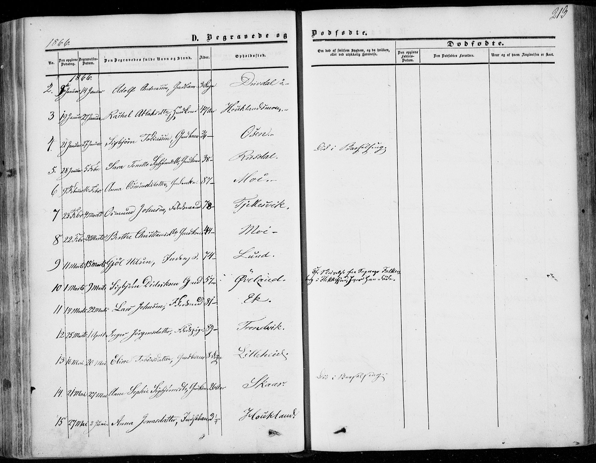 Lund sokneprestkontor, AV/SAST-A-101809/S06/L0009: Parish register (official) no. A 8, 1853-1877, p. 213