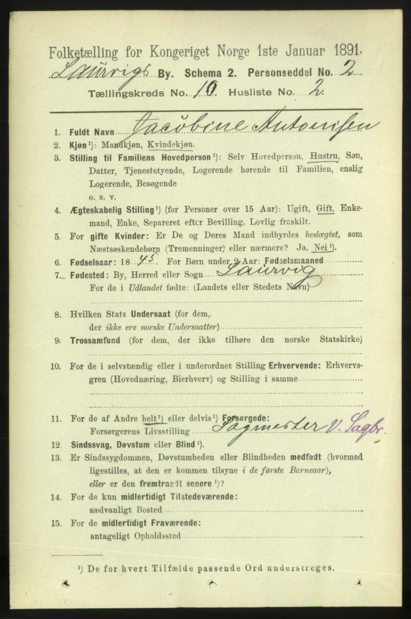 RA, 1891 census for 0707 Larvik, 1891, p. 9076