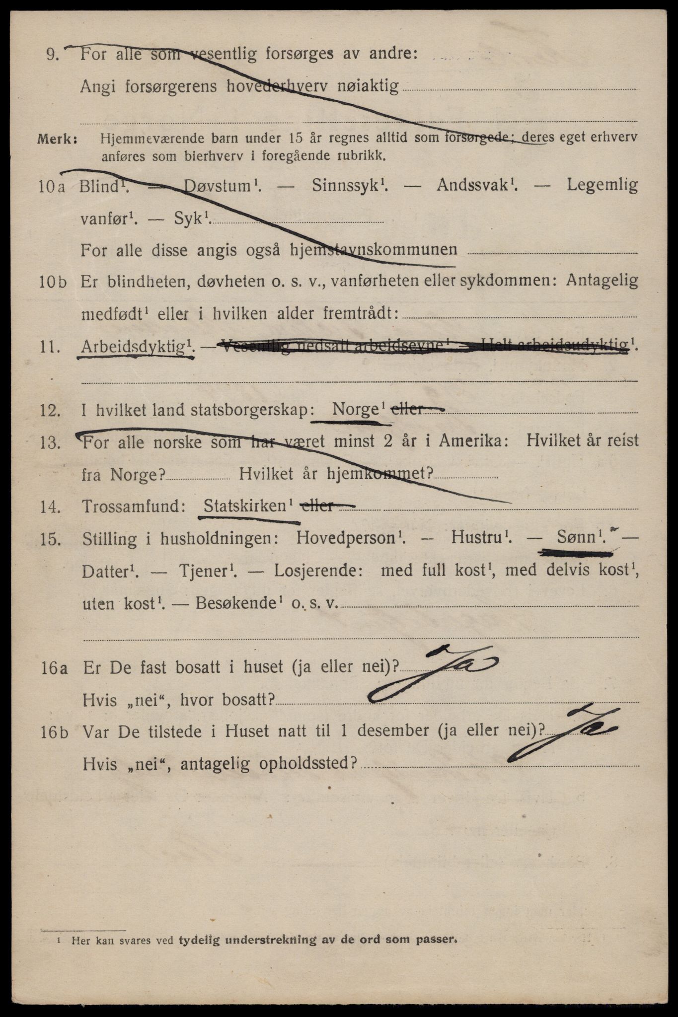 SAT, 1920 census for Trondheim, 1920, p. 117441