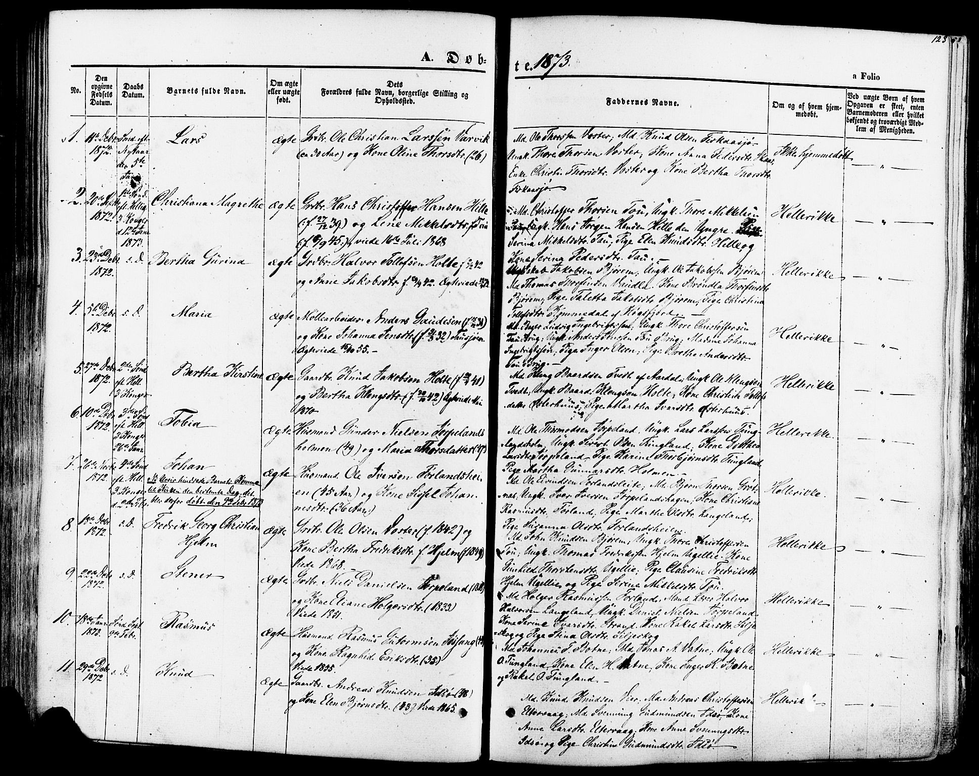 Strand sokneprestkontor, SAST/A-101828/H/Ha/Haa/L0007: Parish register (official) no. A 7, 1855-1881, p. 123