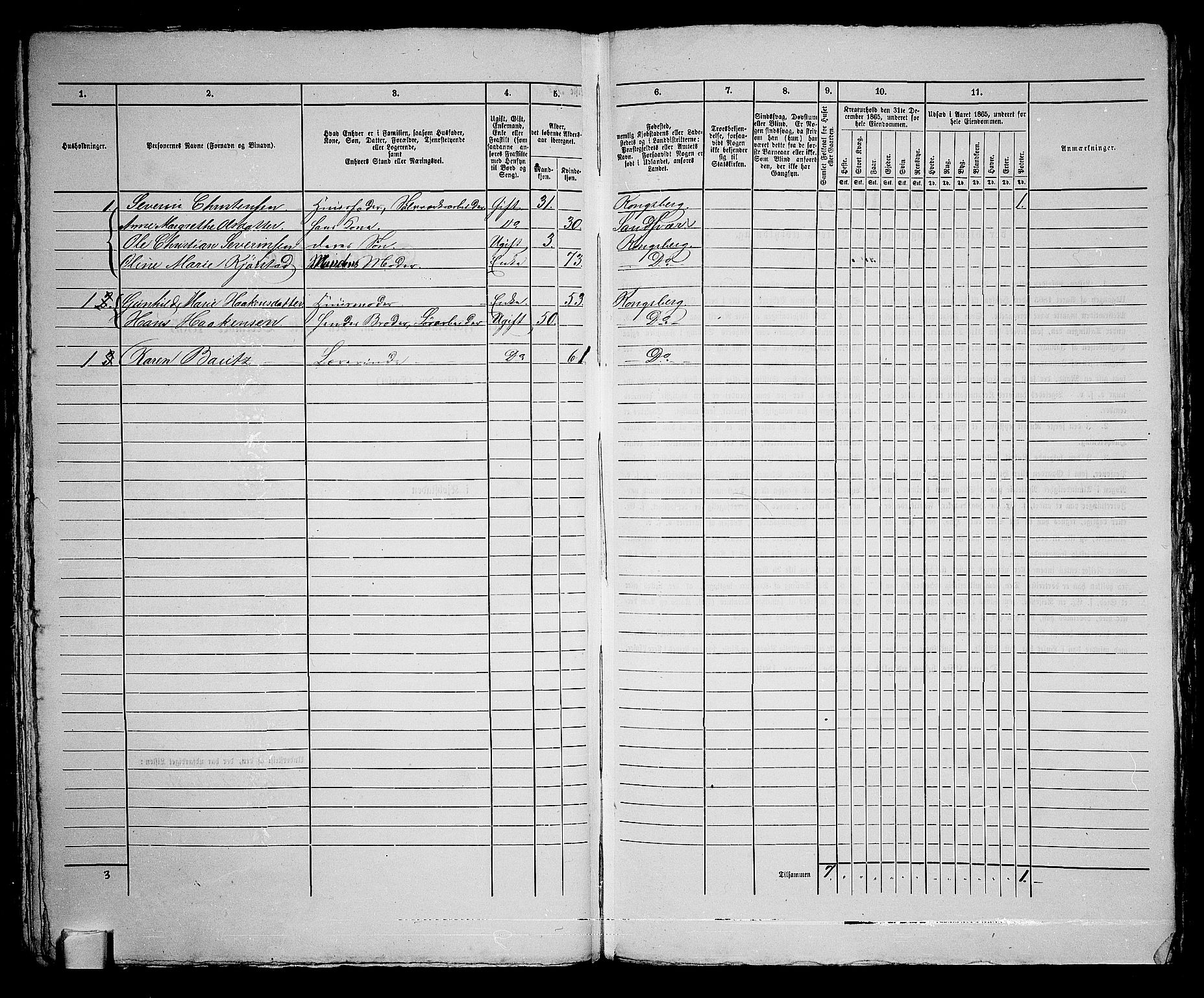 RA, 1865 census for Kongsberg/Kongsberg, 1865, p. 219