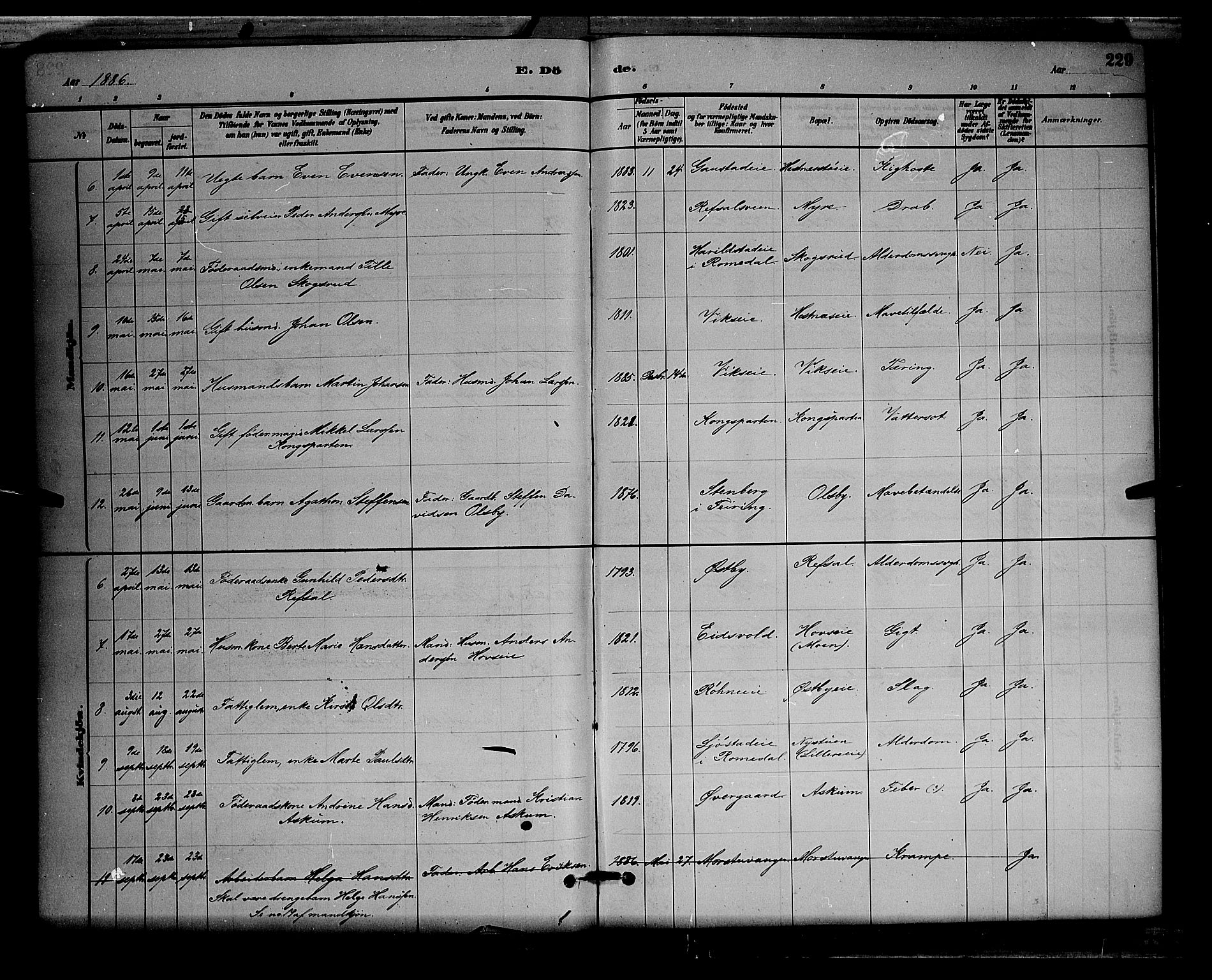 Stange prestekontor, AV/SAH-PREST-002/L/L0008: Parish register (copy) no. 8, 1882-1895, p. 229