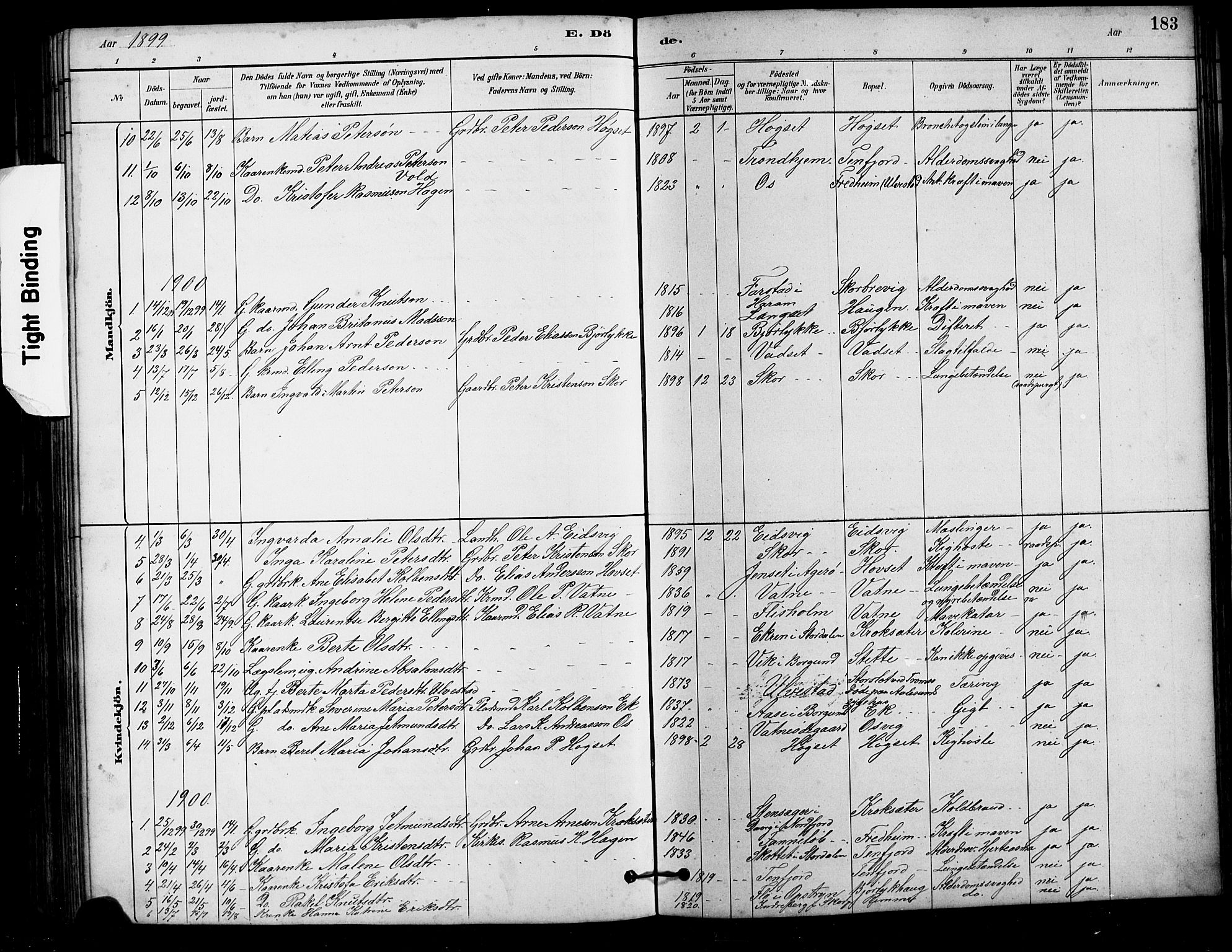 Ministerialprotokoller, klokkerbøker og fødselsregistre - Møre og Romsdal, AV/SAT-A-1454/525/L0376: Parish register (copy) no. 525C02, 1880-1902, p. 183