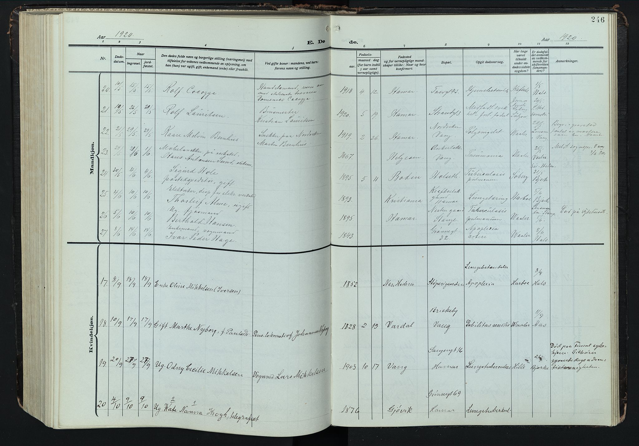 Hamar prestekontor, AV/SAH-DOMPH-002/H/Ha/Hab/L0004: Parish register (copy) no. 4, 1915-1942, p. 246