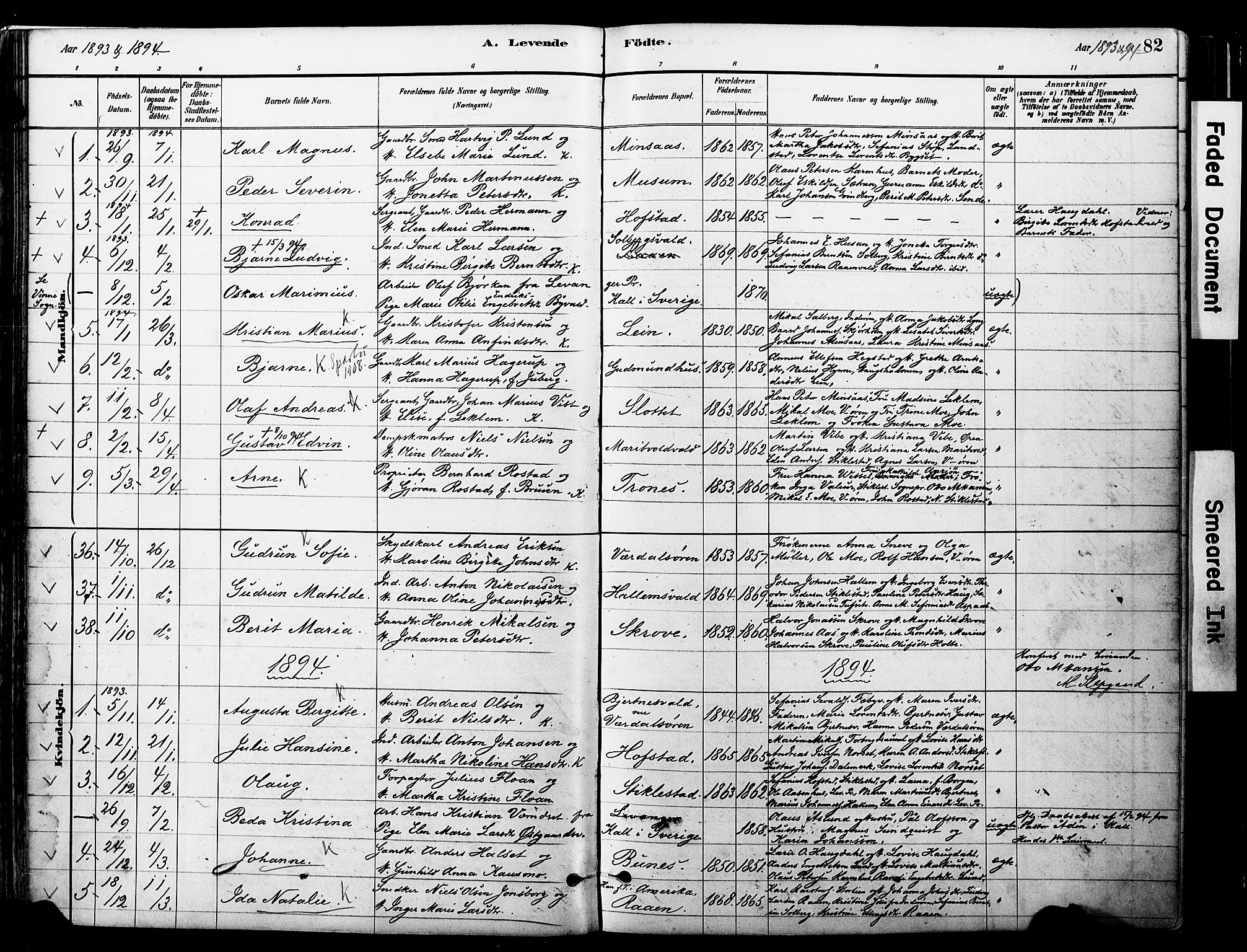 Ministerialprotokoller, klokkerbøker og fødselsregistre - Nord-Trøndelag, SAT/A-1458/723/L0244: Parish register (official) no. 723A13, 1881-1899, p. 82