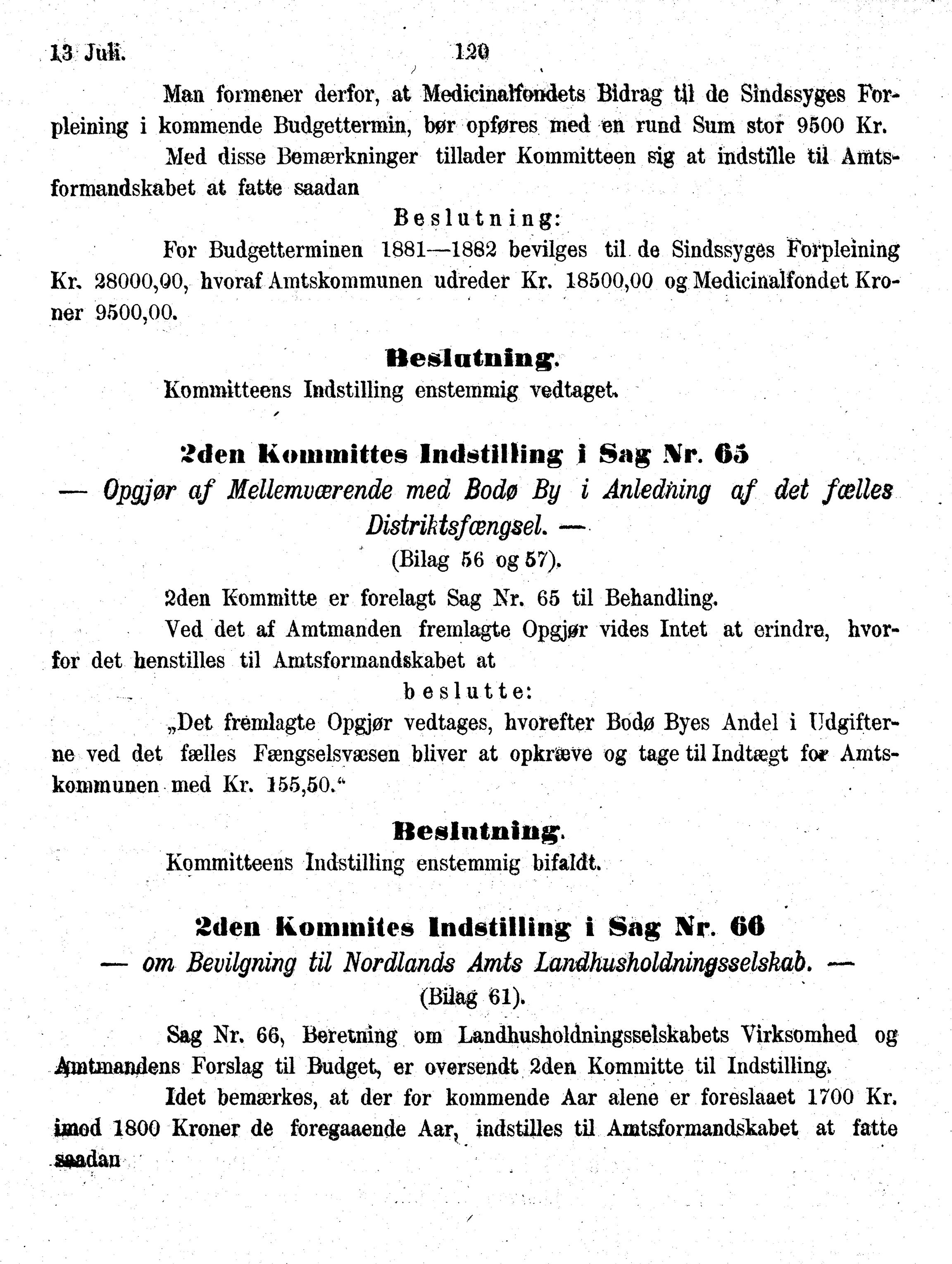 Nordland Fylkeskommune. Fylkestinget, AIN/NFK-17/176/A/Ac/L0010: Fylkestingsforhandlinger 1874-1880, 1874-1880