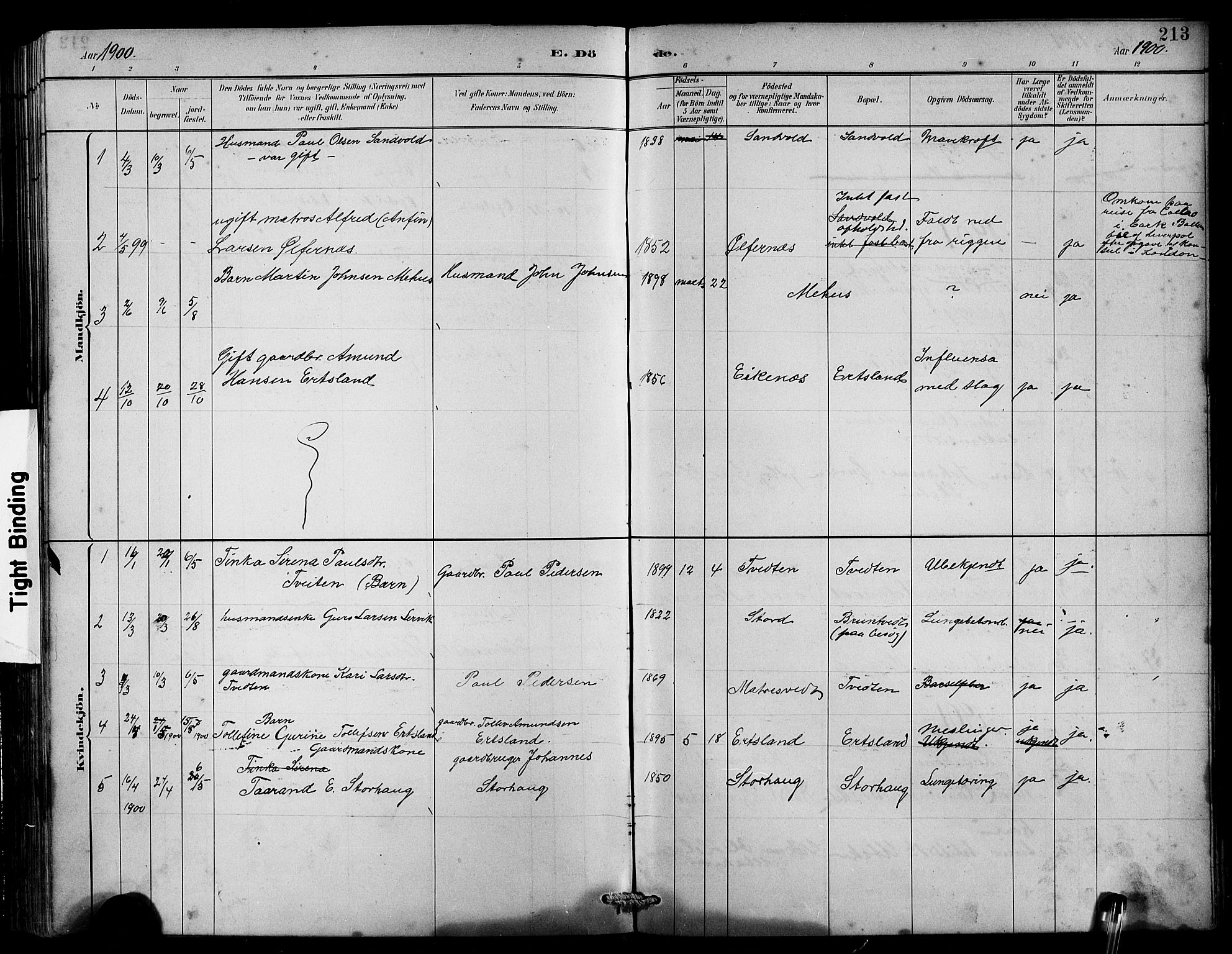 Husnes Sokneprestembete, SAB/A-75901/H/Hab: Parish register (copy) no. B 2, 1884-1914, p. 213