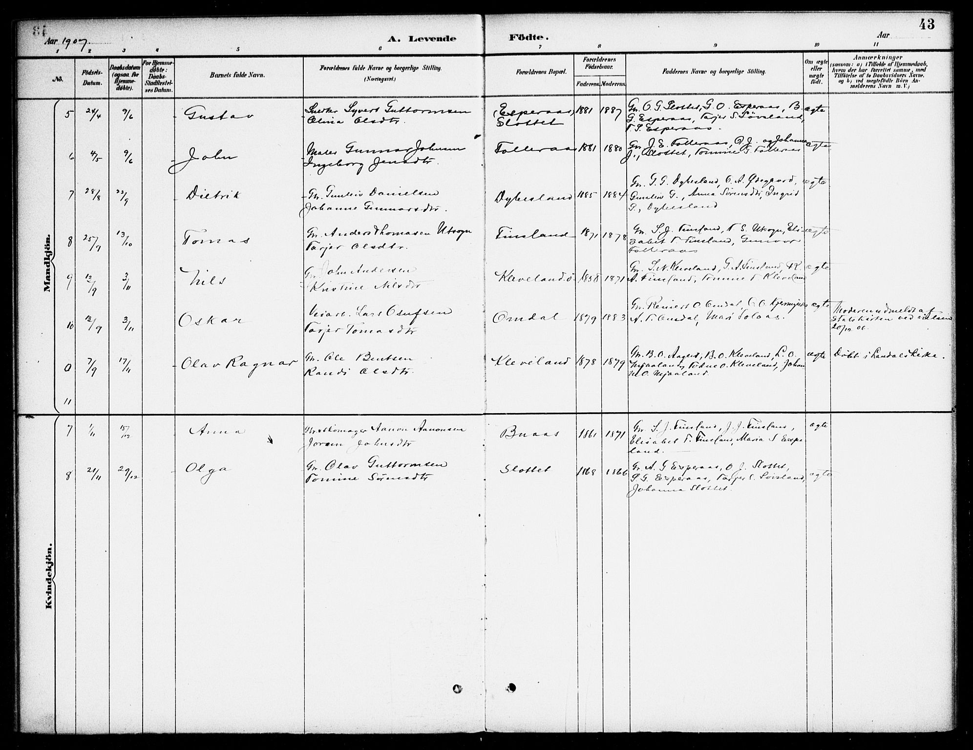 Bjelland sokneprestkontor, AV/SAK-1111-0005/F/Fa/Fab/L0004: Parish register (official) no. A 4, 1887-1920, p. 43