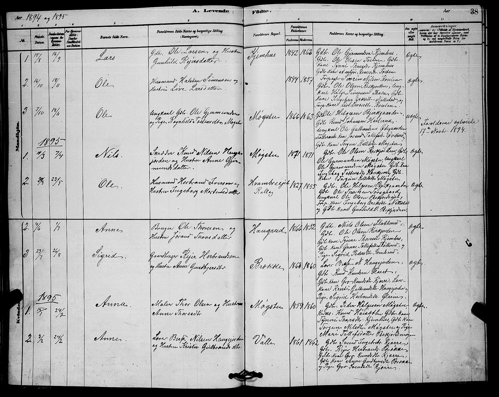 Rollag kirkebøker, SAKO/A-240/G/Gb/L0002: Parish register (copy) no. II 2, 1878-1898, p. 38
