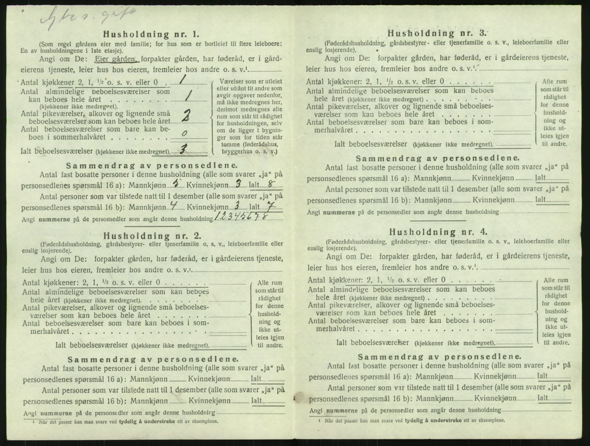 SAT, 1920 census for Borge, 1920, p. 160