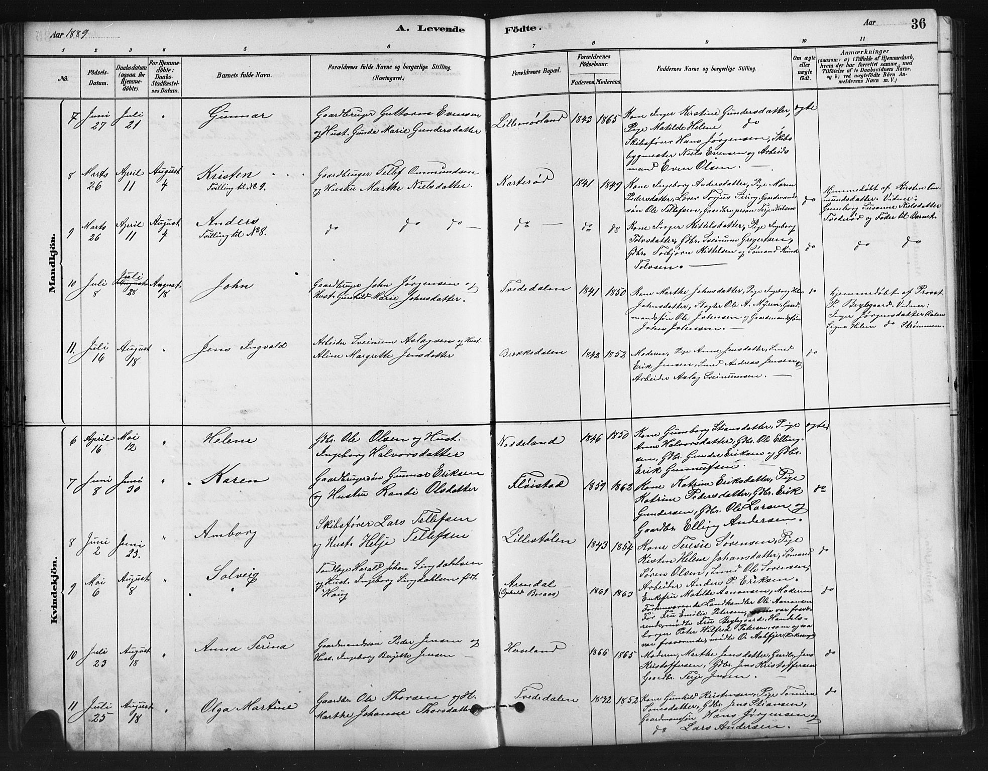 Austre Moland sokneprestkontor, AV/SAK-1111-0001/F/Fb/Fba/L0003: Parish register (copy) no. B 3, 1879-1914, p. 36