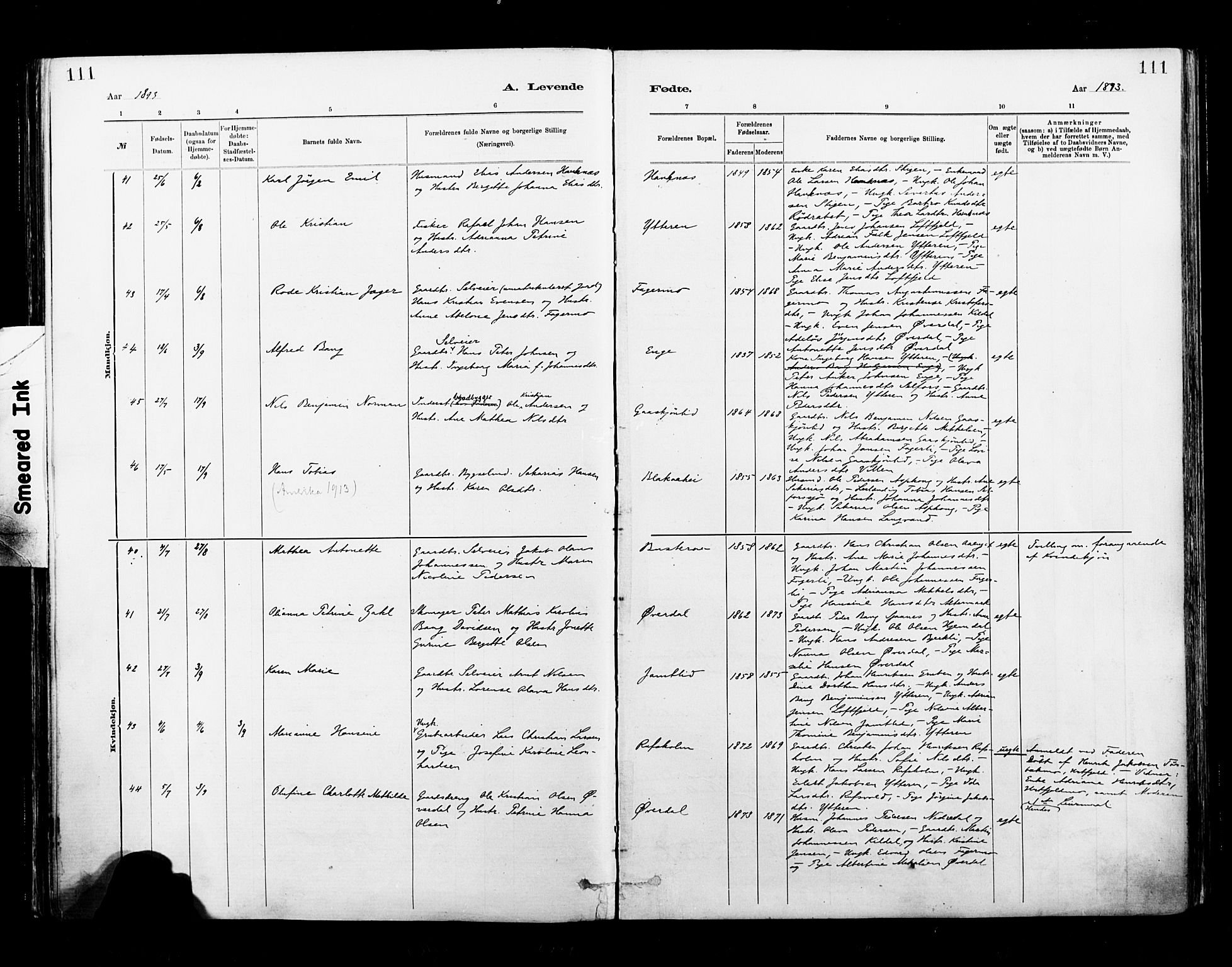 Ministerialprotokoller, klokkerbøker og fødselsregistre - Nordland, AV/SAT-A-1459/827/L0400: Parish register (official) no. 827A12, 1883-1903, p. 111