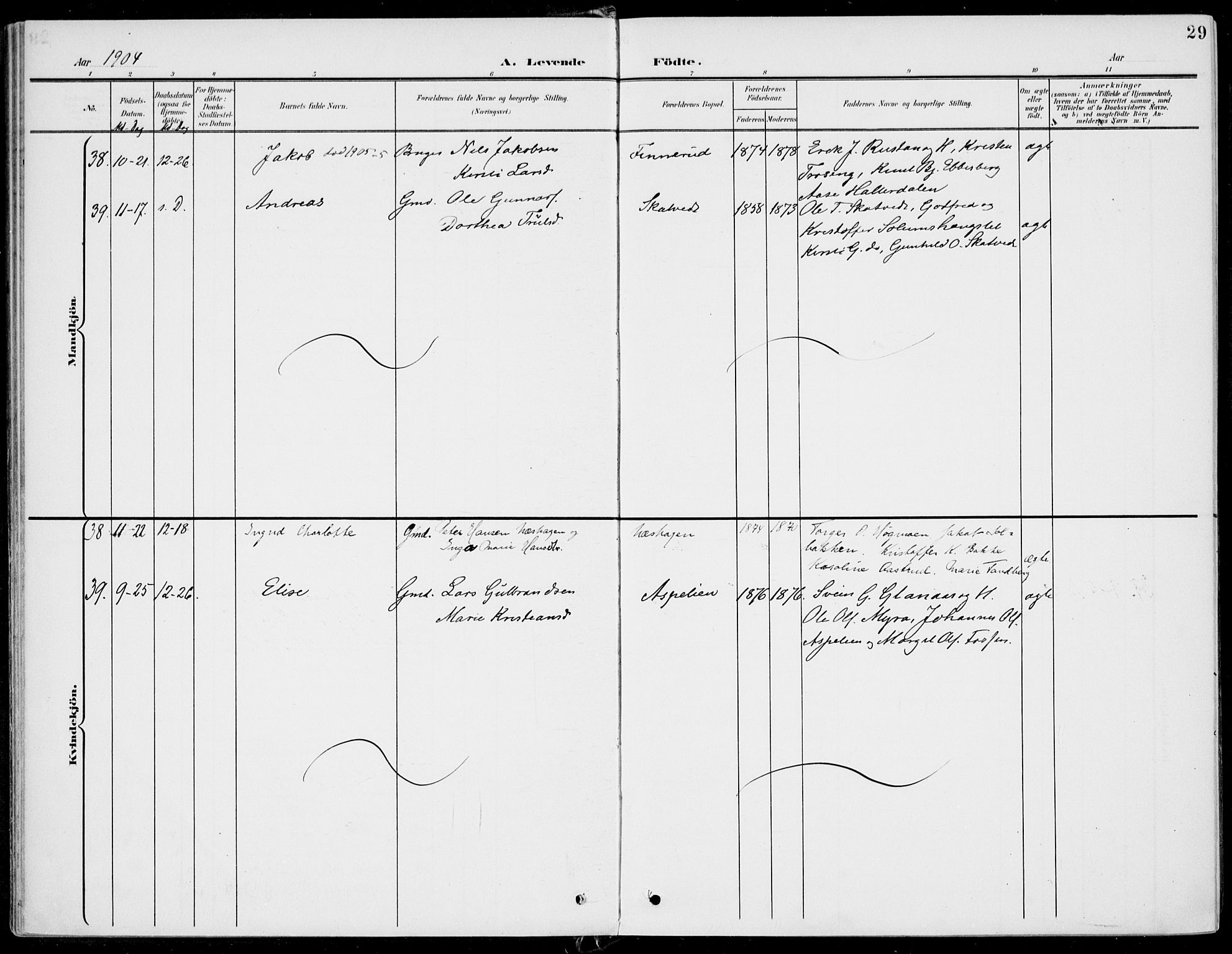 Sigdal kirkebøker, AV/SAKO-A-245/F/Fb/L0002: Parish register (official) no. II 2, 1901-1914, p. 29