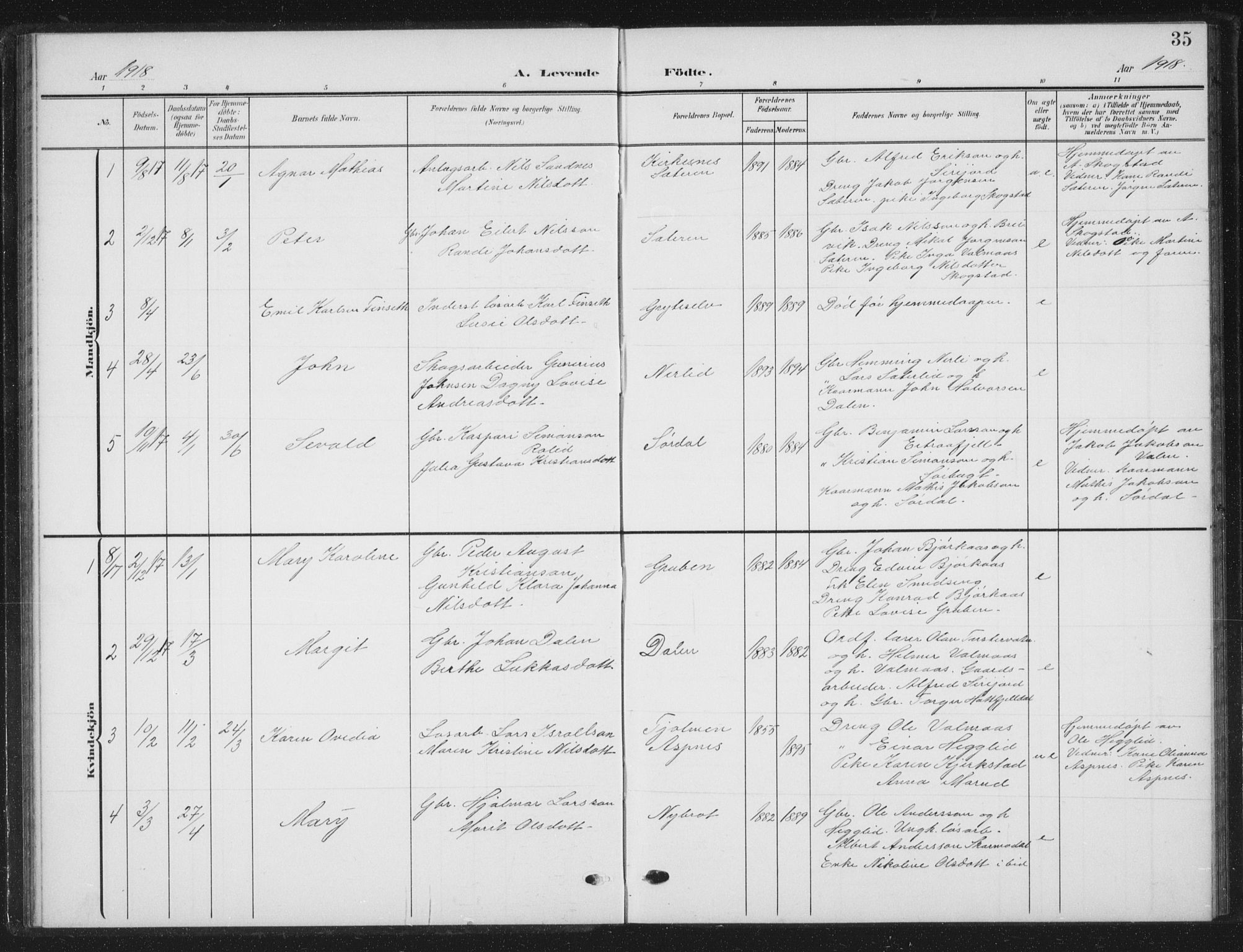 Ministerialprotokoller, klokkerbøker og fødselsregistre - Nordland, AV/SAT-A-1459/823/L0331: Parish register (copy) no. 823C03, 1905-1934, p. 35