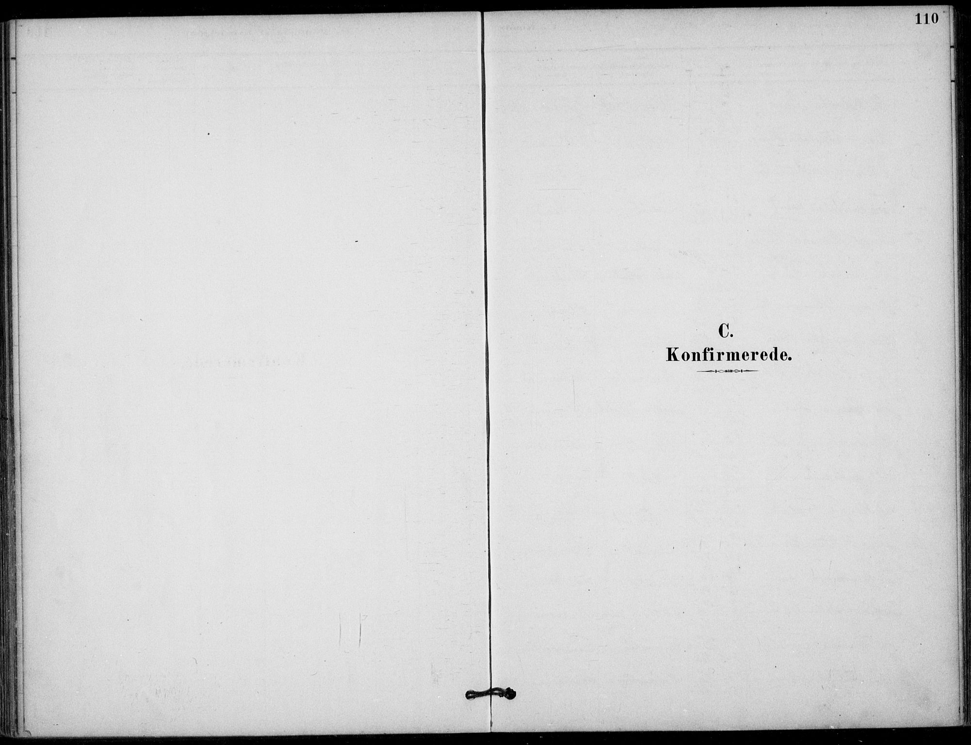 Hjartdal kirkebøker, SAKO/A-270/F/Fb/L0002: Parish register (official) no. II 2, 1880-1932, p. 110