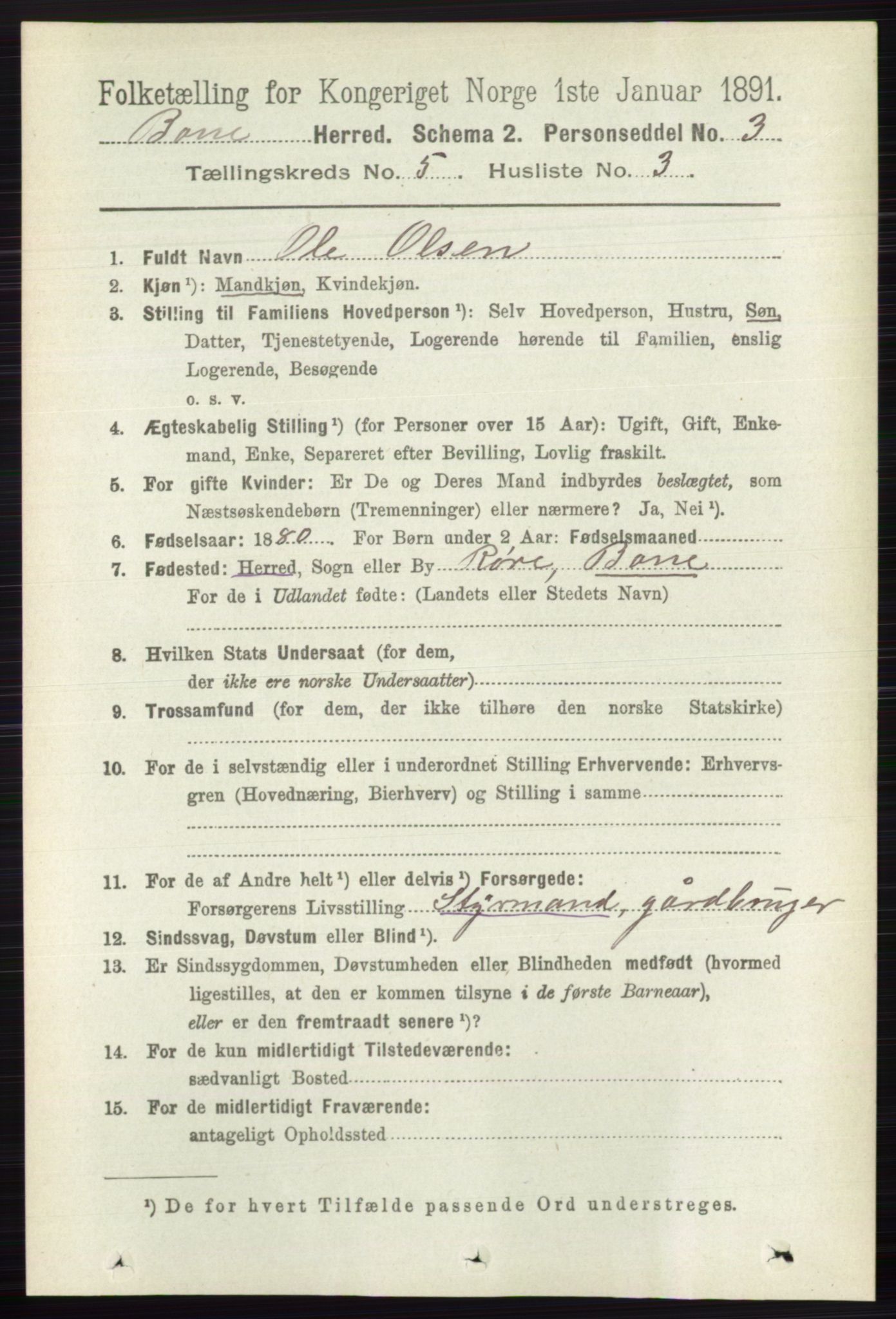 RA, 1891 census for 0717 Borre, 1891, p. 2027