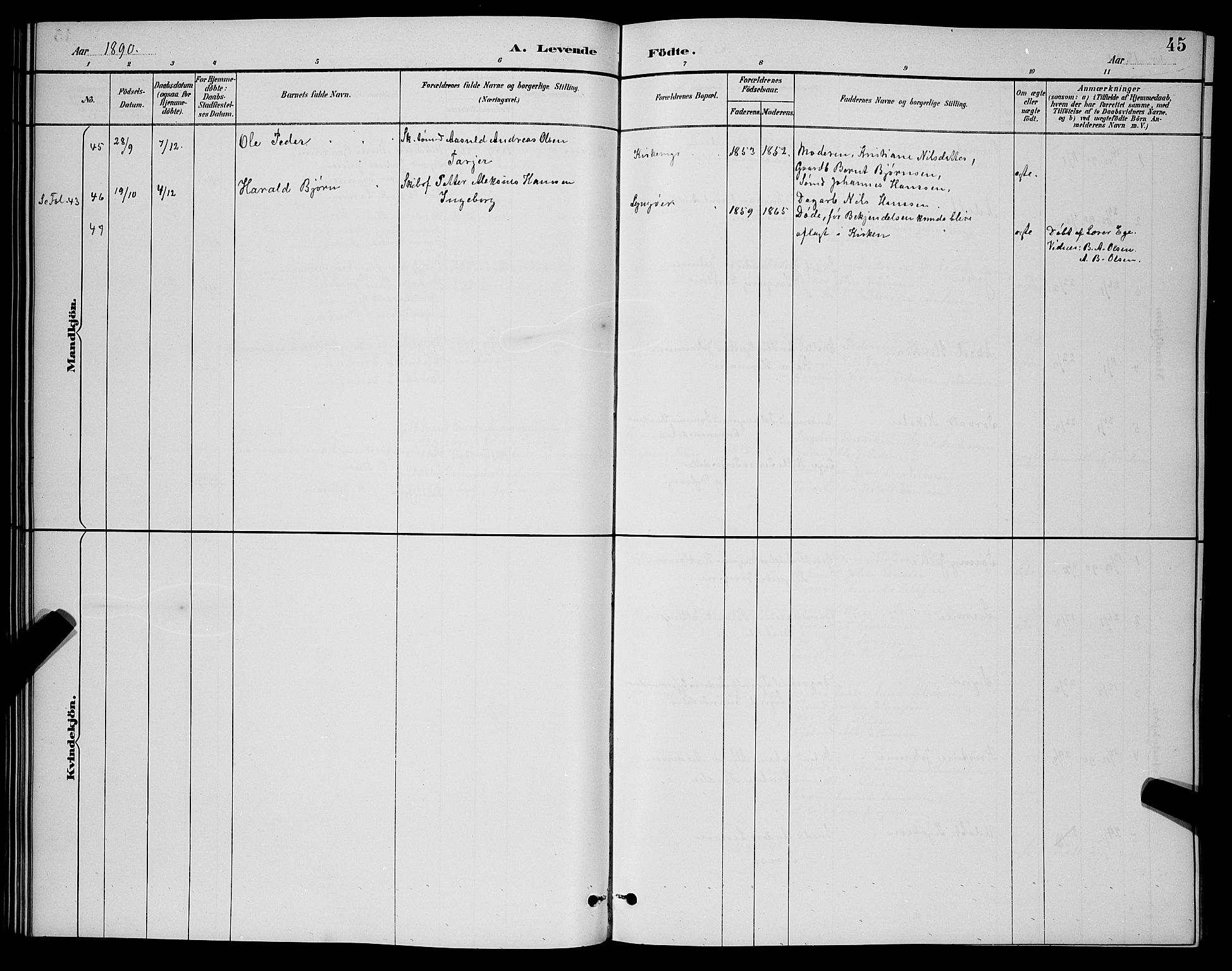 Dypvåg sokneprestkontor, AV/SAK-1111-0007/F/Fb/Fba/L0013: Parish register (copy) no. B 13, 1887-1900, p. 45