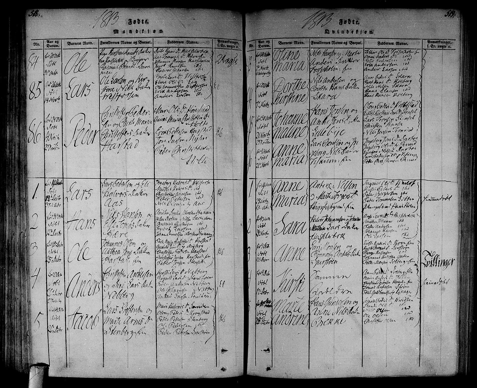 Eiker kirkebøker, AV/SAKO-A-4/F/Fa/L0010: Parish register (official) no. I 10, 1806-1815, p. 518-519