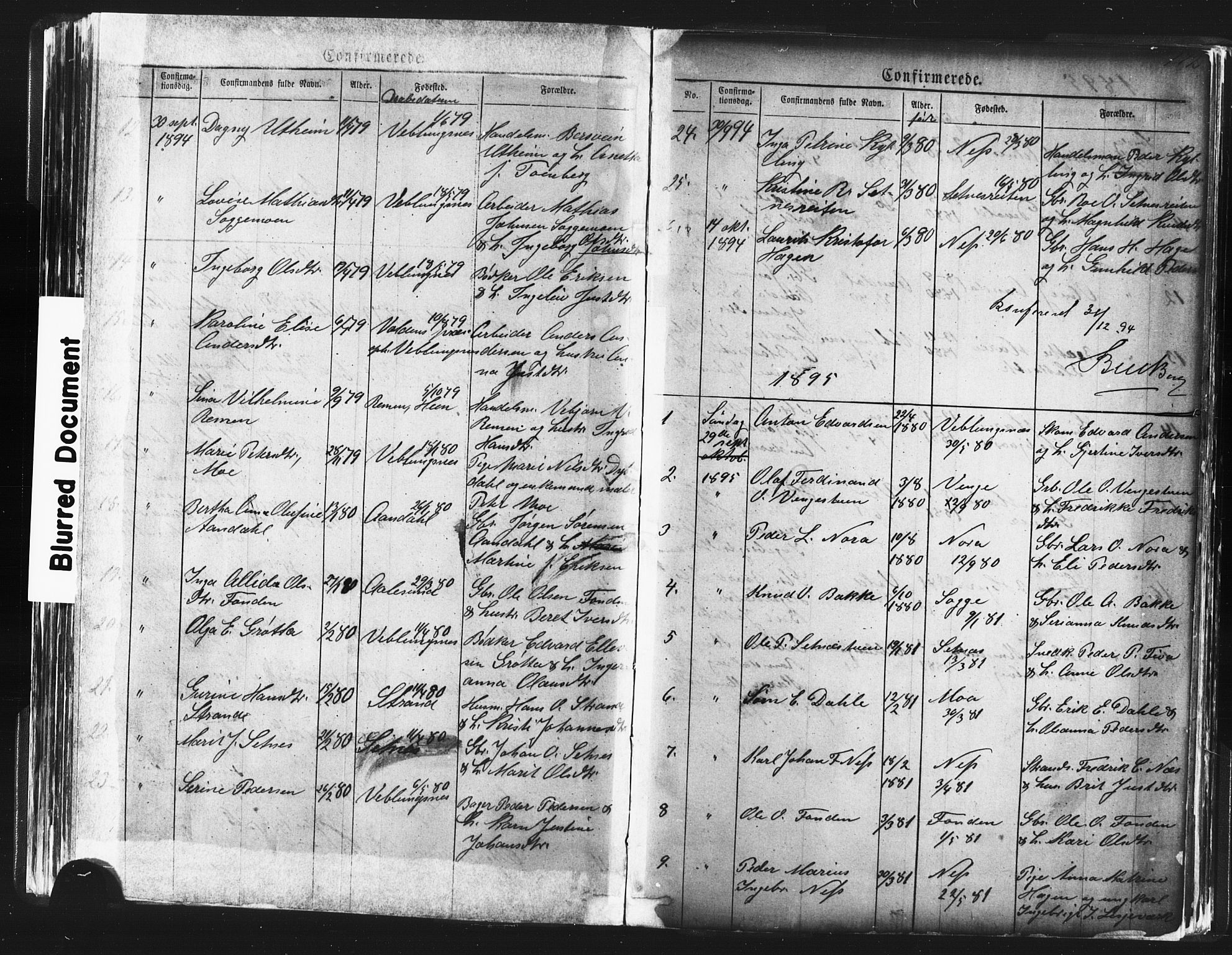 Ministerialprotokoller, klokkerbøker og fødselsregistre - Møre og Romsdal, AV/SAT-A-1454/544/L0580: Parish register (copy) no. 544C02, 1867-1909, p. 172