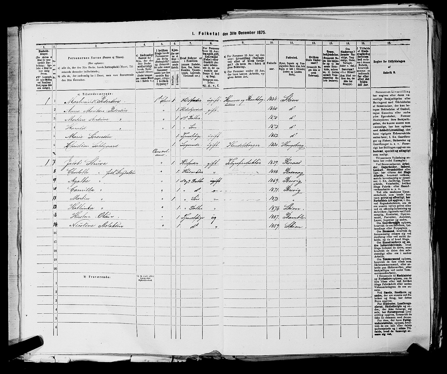 SAKO, 1875 census for 0806P Skien, 1875, p. 37