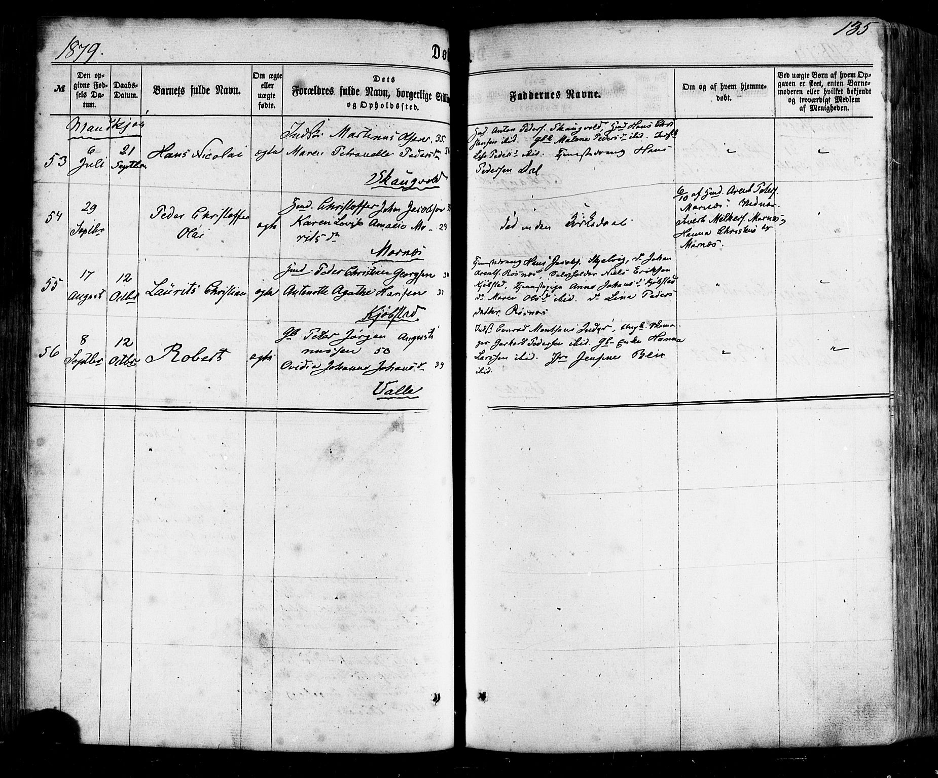 Ministerialprotokoller, klokkerbøker og fødselsregistre - Nordland, AV/SAT-A-1459/805/L0098: Parish register (official) no. 805A05, 1862-1879, p. 135