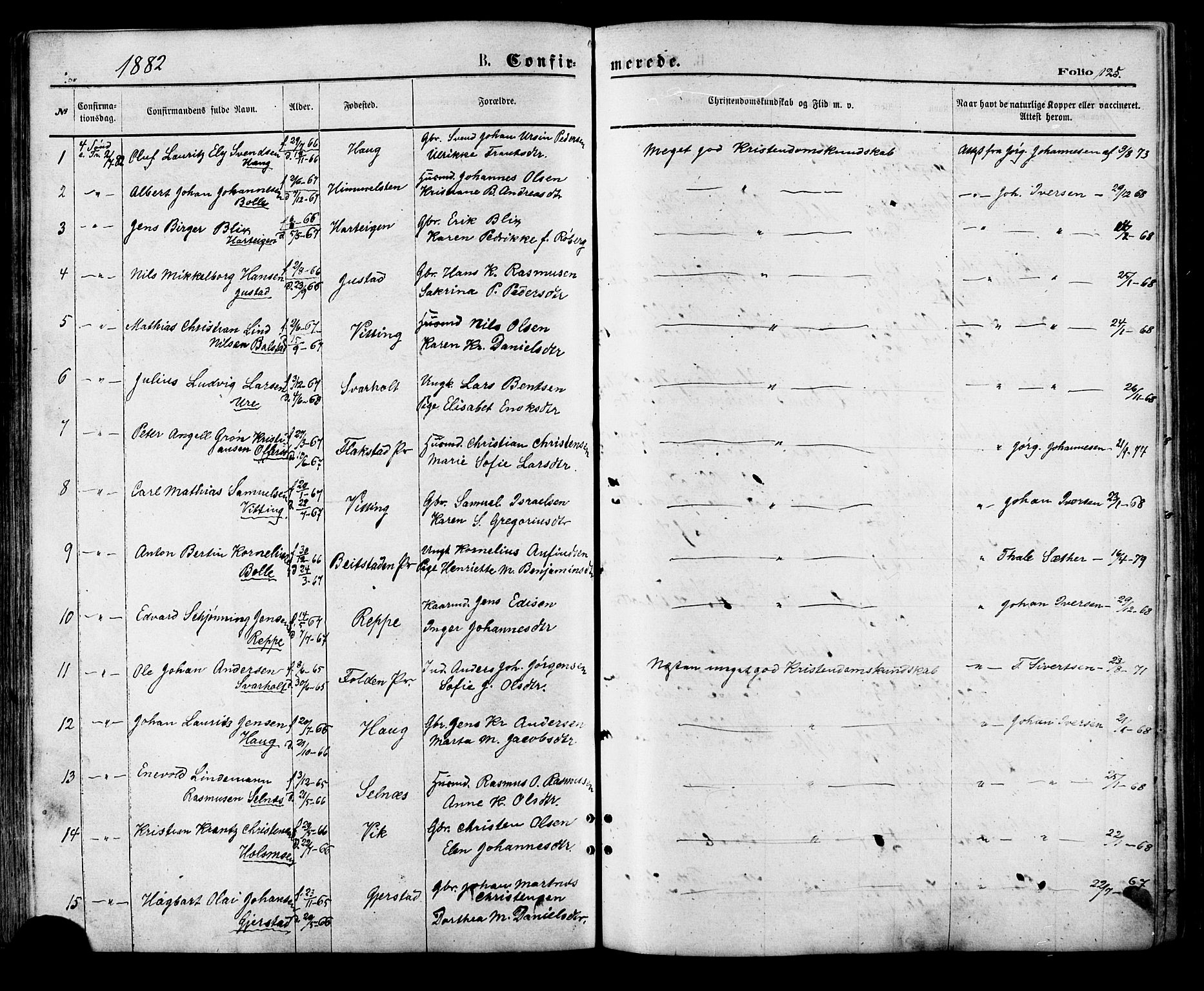 Ministerialprotokoller, klokkerbøker og fødselsregistre - Nordland, AV/SAT-A-1459/881/L1166: Parish register (copy) no. 881C03, 1876-1885, p. 125