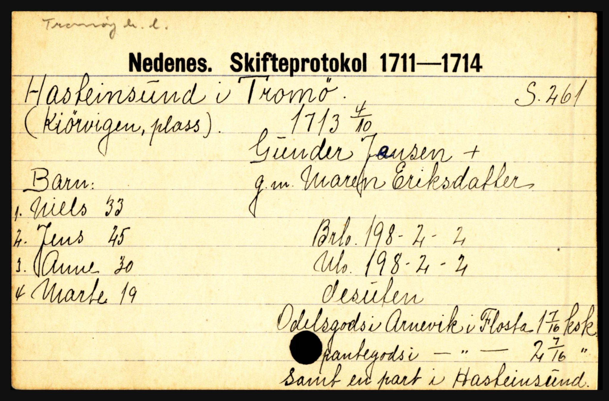 Nedenes sorenskriveri før 1824, AV/SAK-1221-0007/H, p. 10993