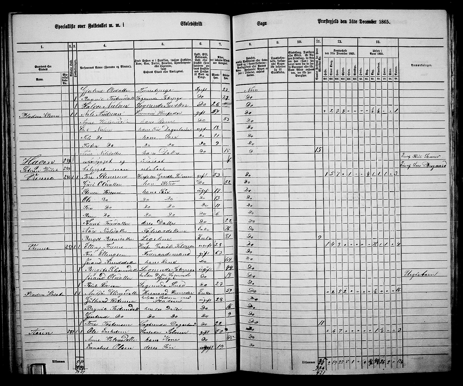 RA, 1865 census for Nore, 1865, p. 65