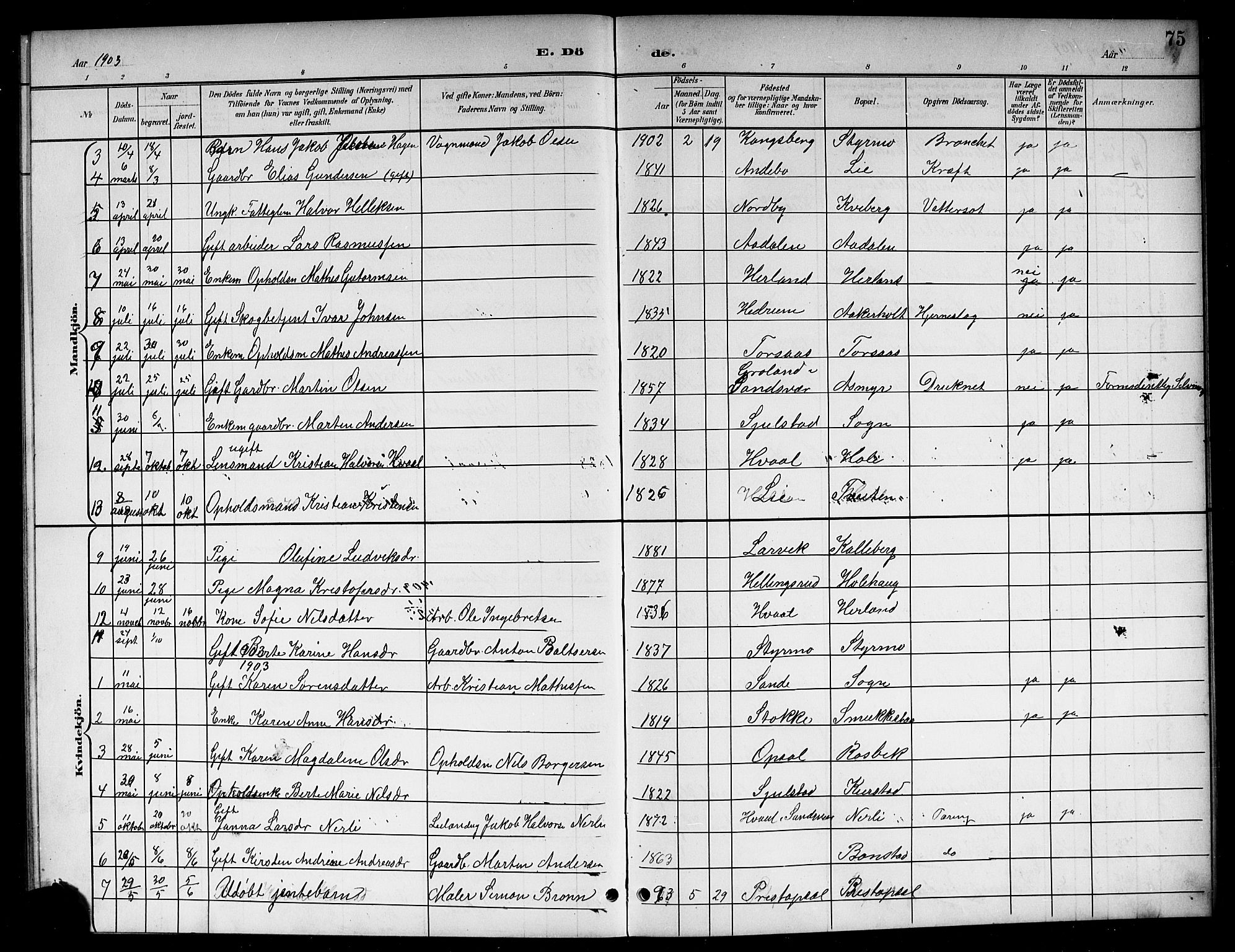 Lardal kirkebøker, AV/SAKO-A-350/G/Ga/L0002: Parish register (copy) no. I 2, 1901-1916, p. 75