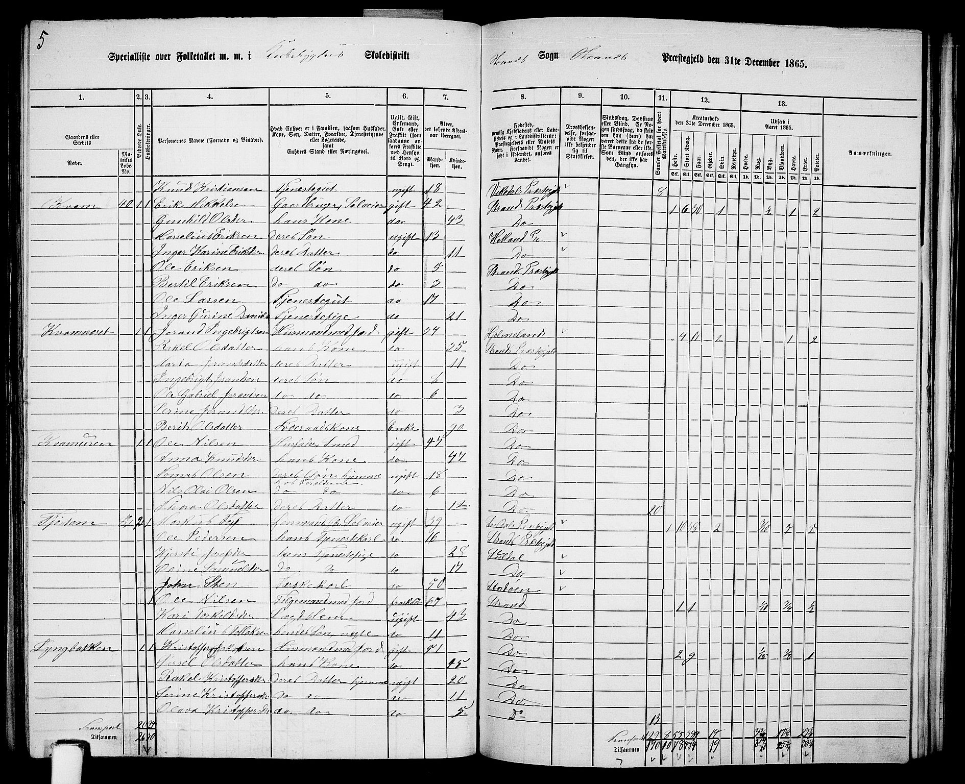 RA, 1865 census for Strand, 1865, p. 44