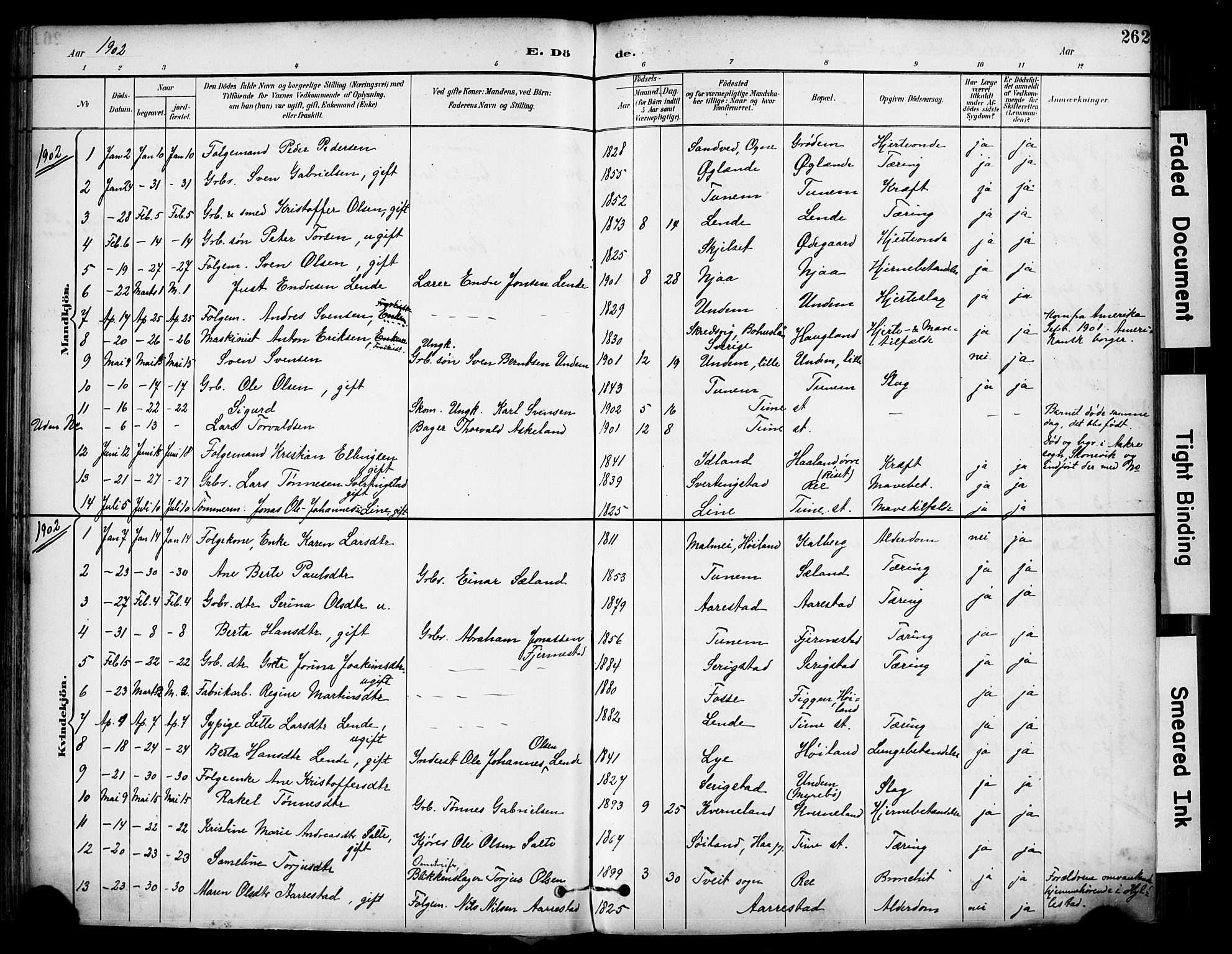 Lye sokneprestkontor, SAST/A-101794/001/30BA/L0011: Parish register (official) no. A 9, 1893-1903, p. 262