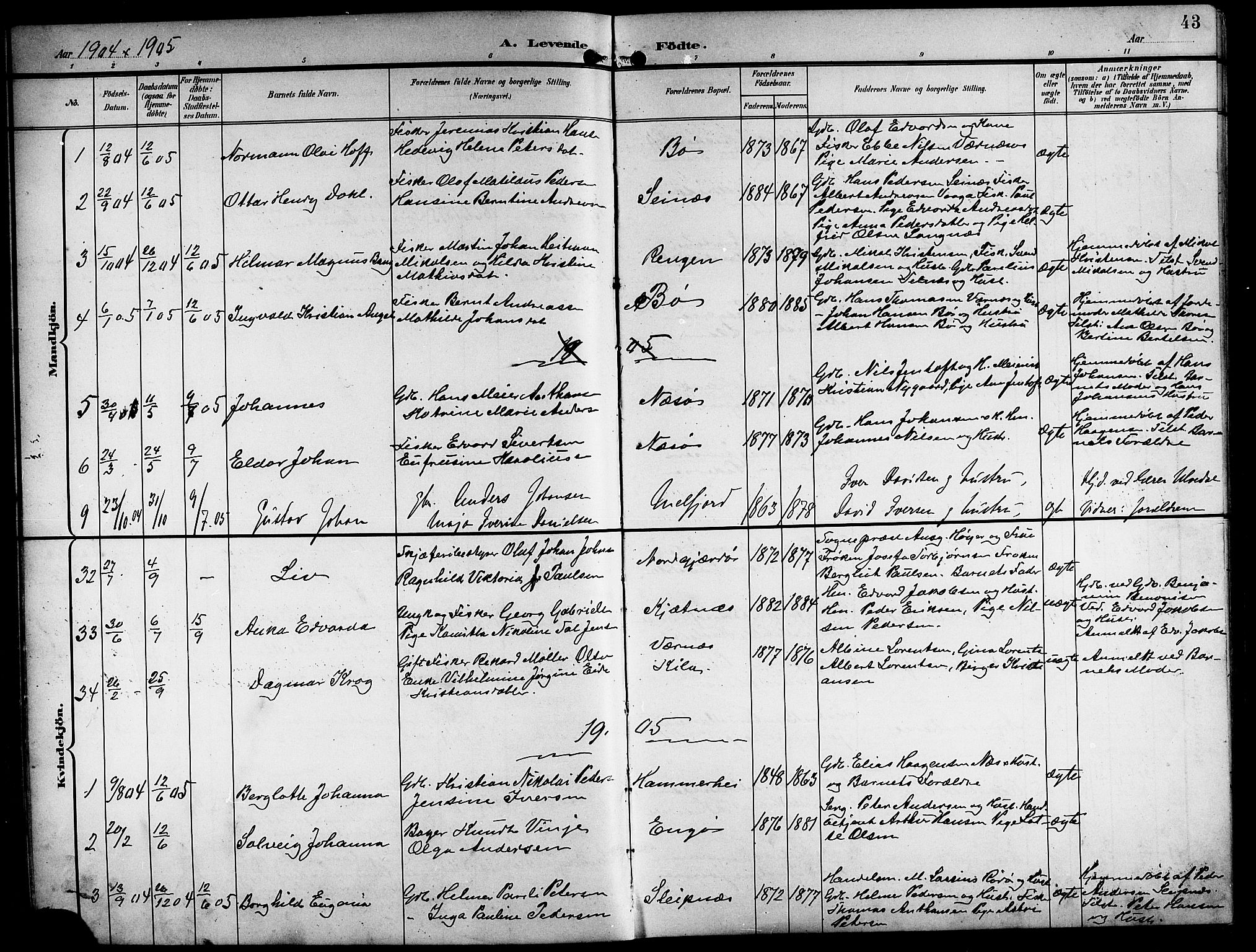 Ministerialprotokoller, klokkerbøker og fødselsregistre - Nordland, SAT/A-1459/841/L0621: Parish register (copy) no. 841C05, 1897-1923, p. 43