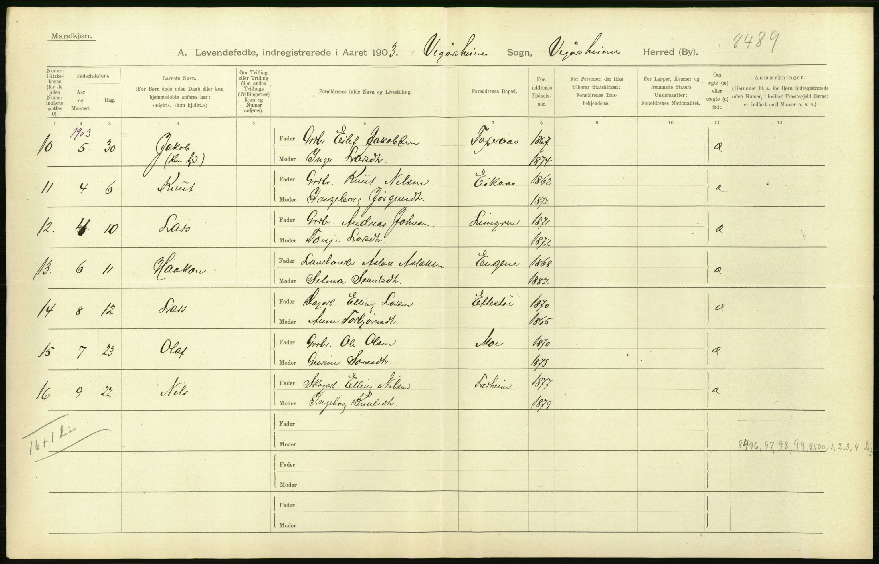 Statistisk sentralbyrå, Sosiodemografiske emner, Befolkning, AV/RA-S-2228/D/Df/Dfa/Dfaa/L0010: Nedenes amt: Fødte, gifte, døde, 1903, p. 36